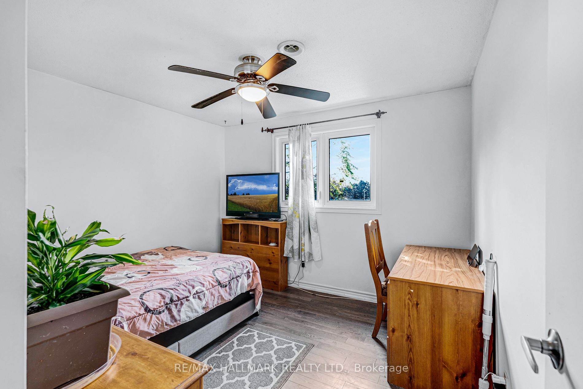 242 Collings Ave