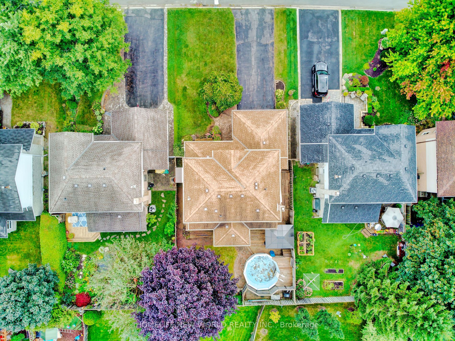 293 Harewood Blvd