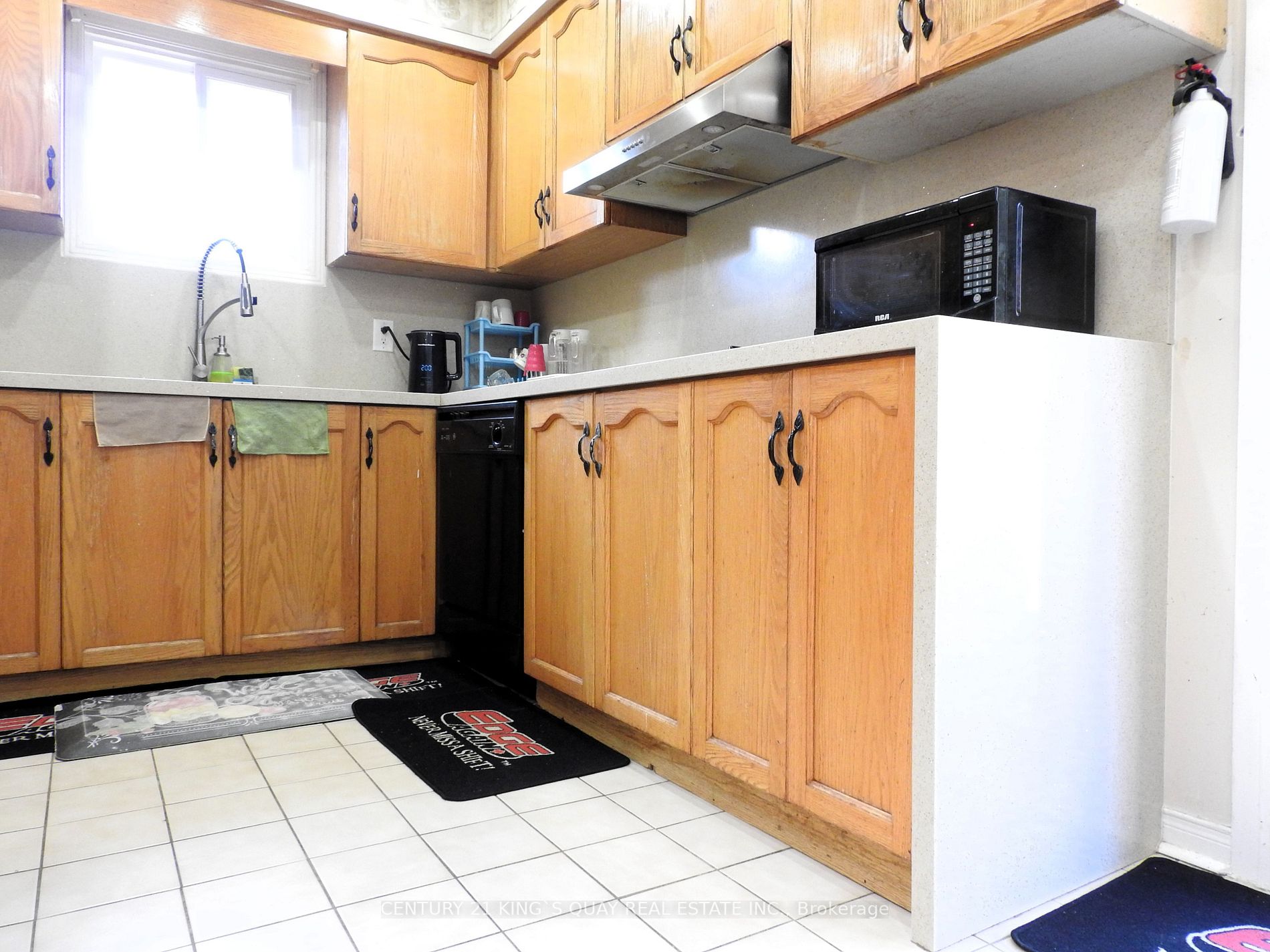 95 Britannia Ave