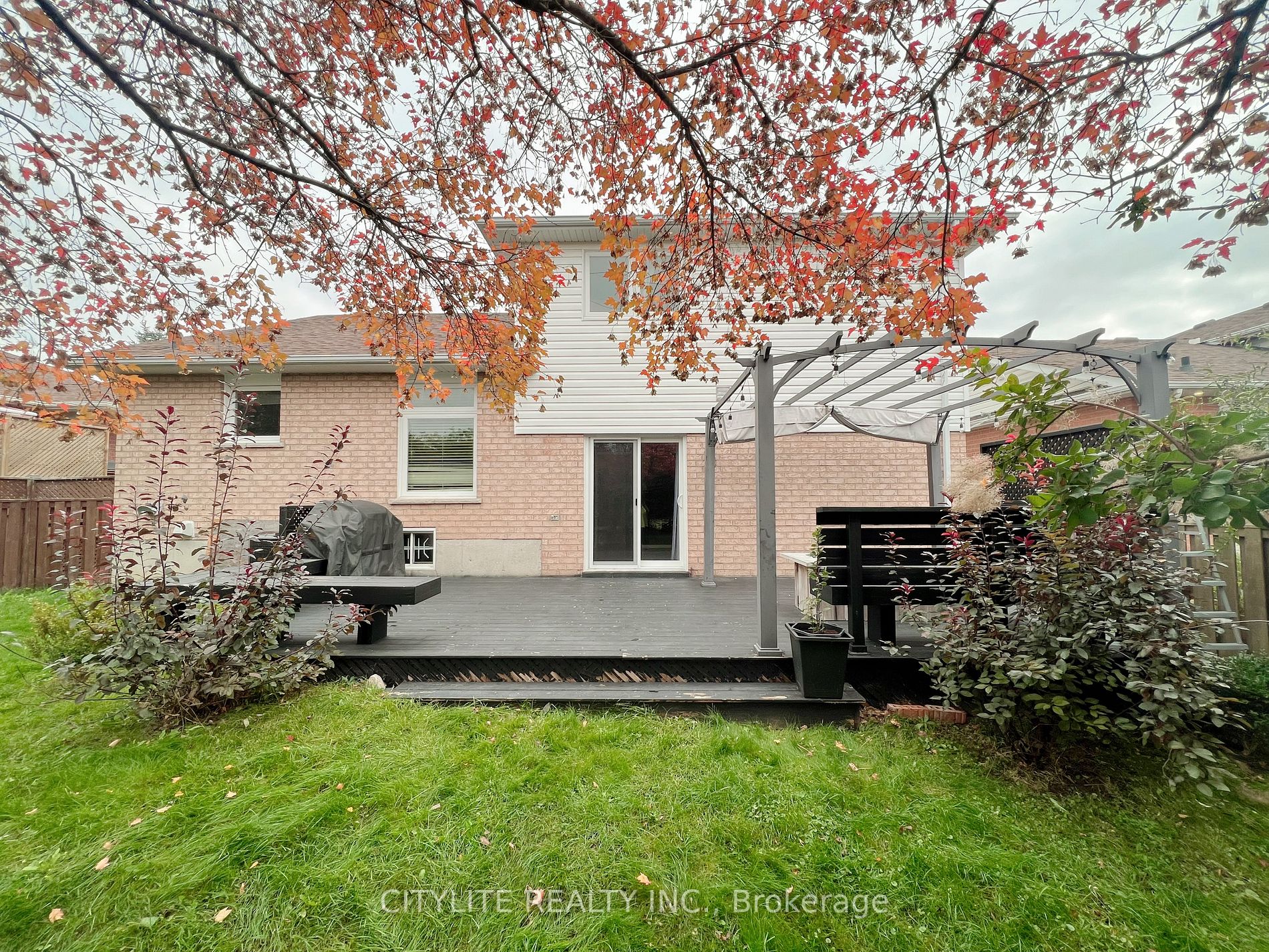 61 Mills Crt