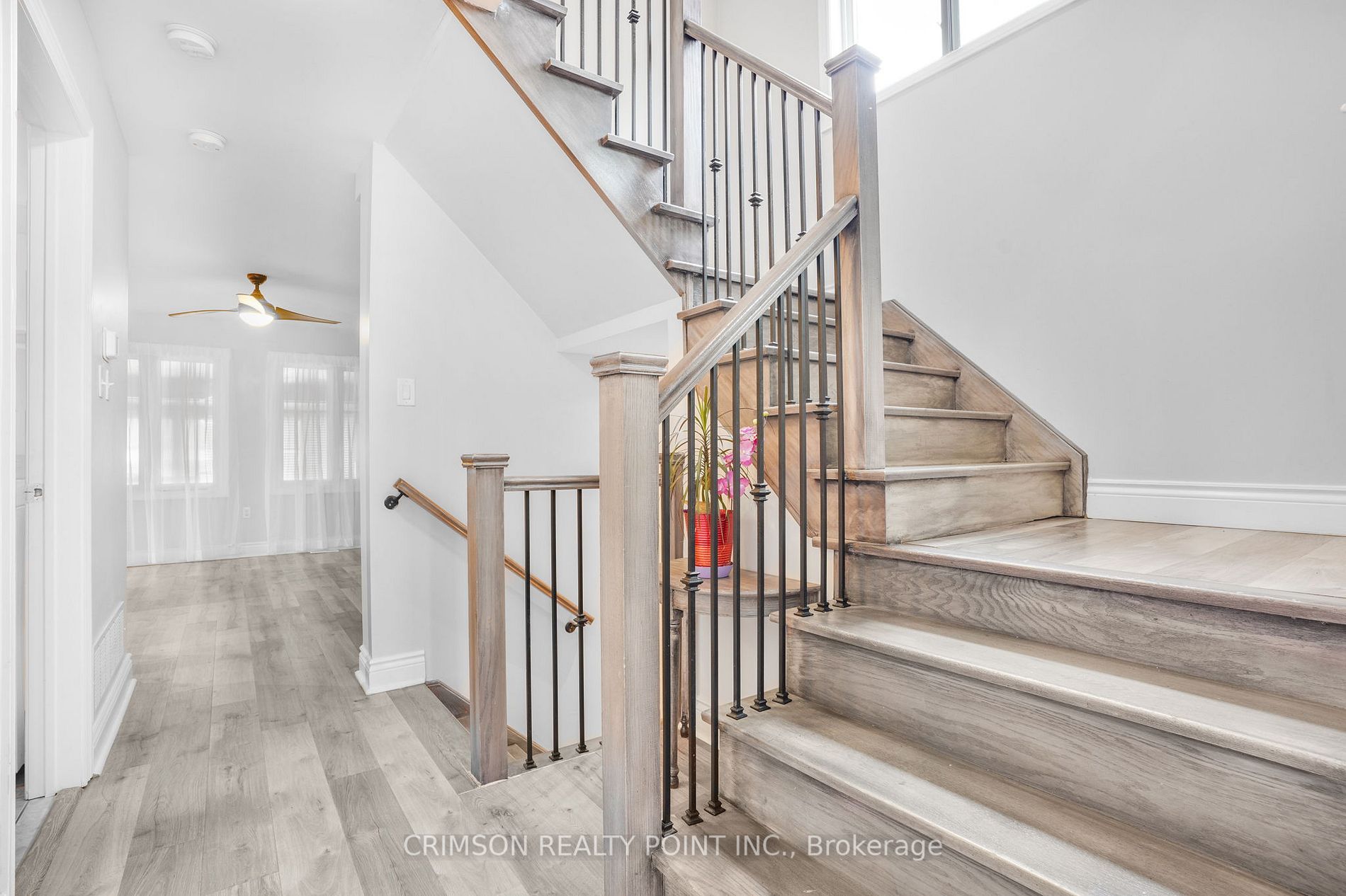 817 Elmwood Rd