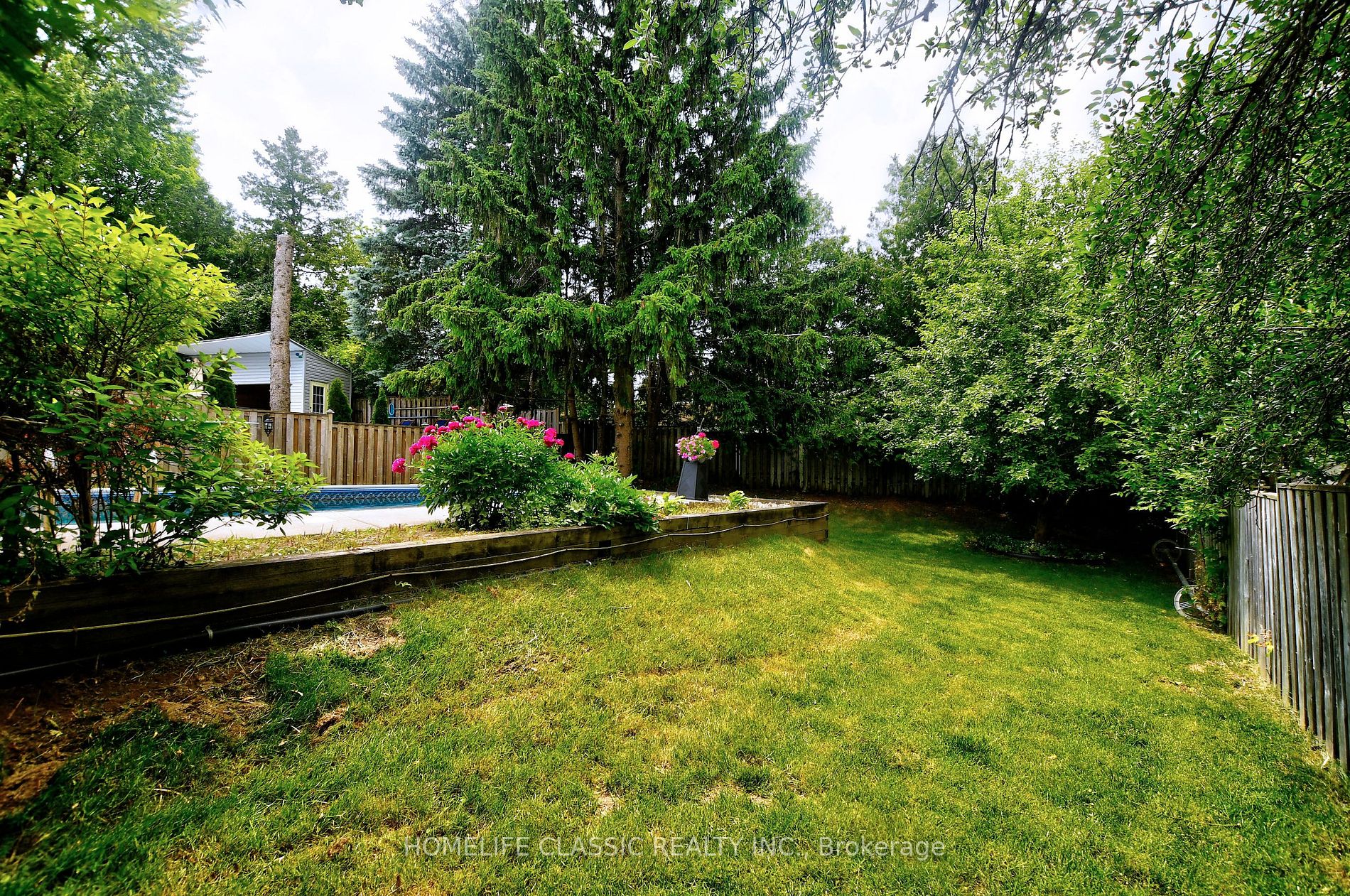 236 Hibiscus Crt N