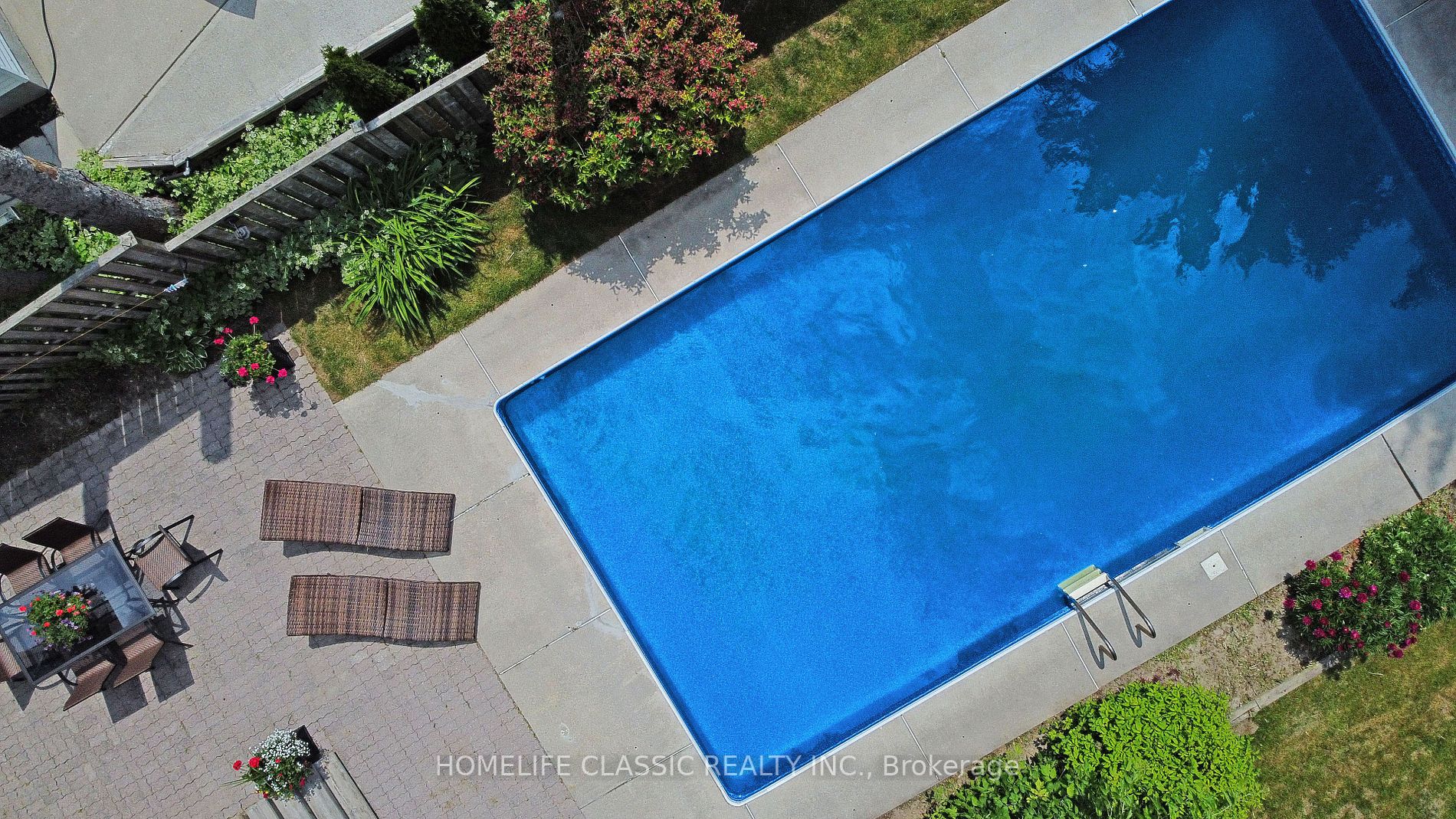 236 Hibiscus Crt N