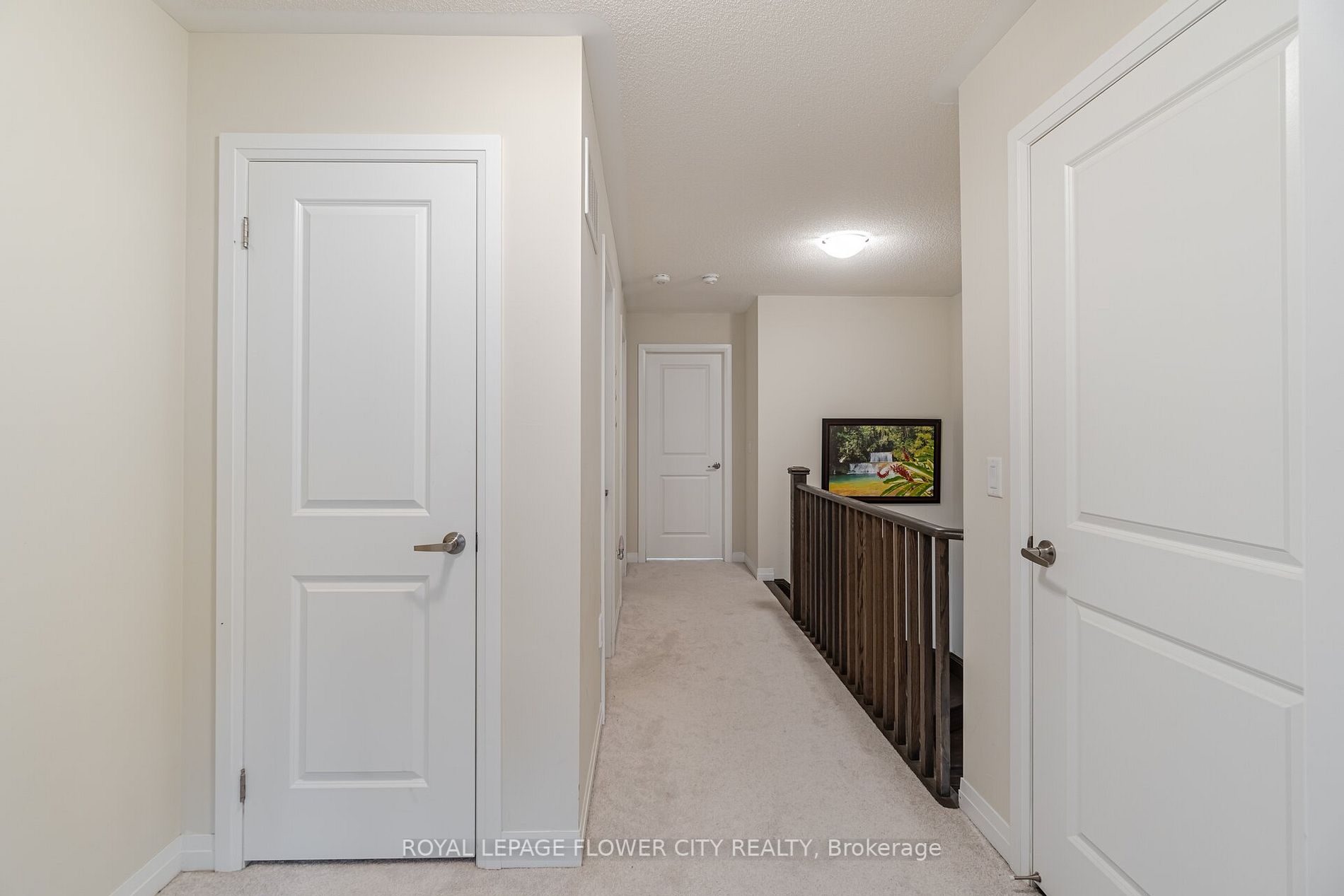 203 Landolfi Way