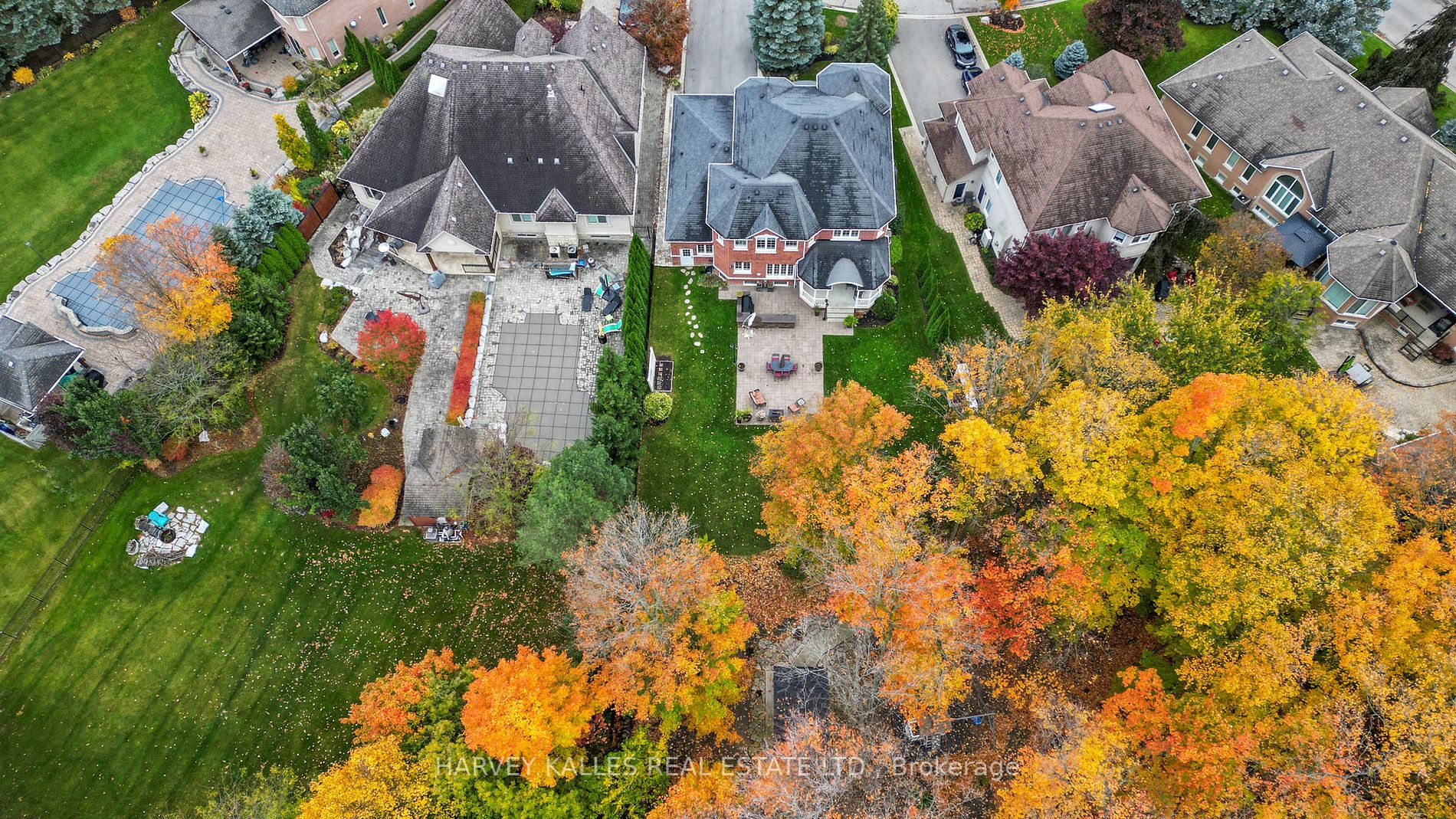 82 English Daisy Crt