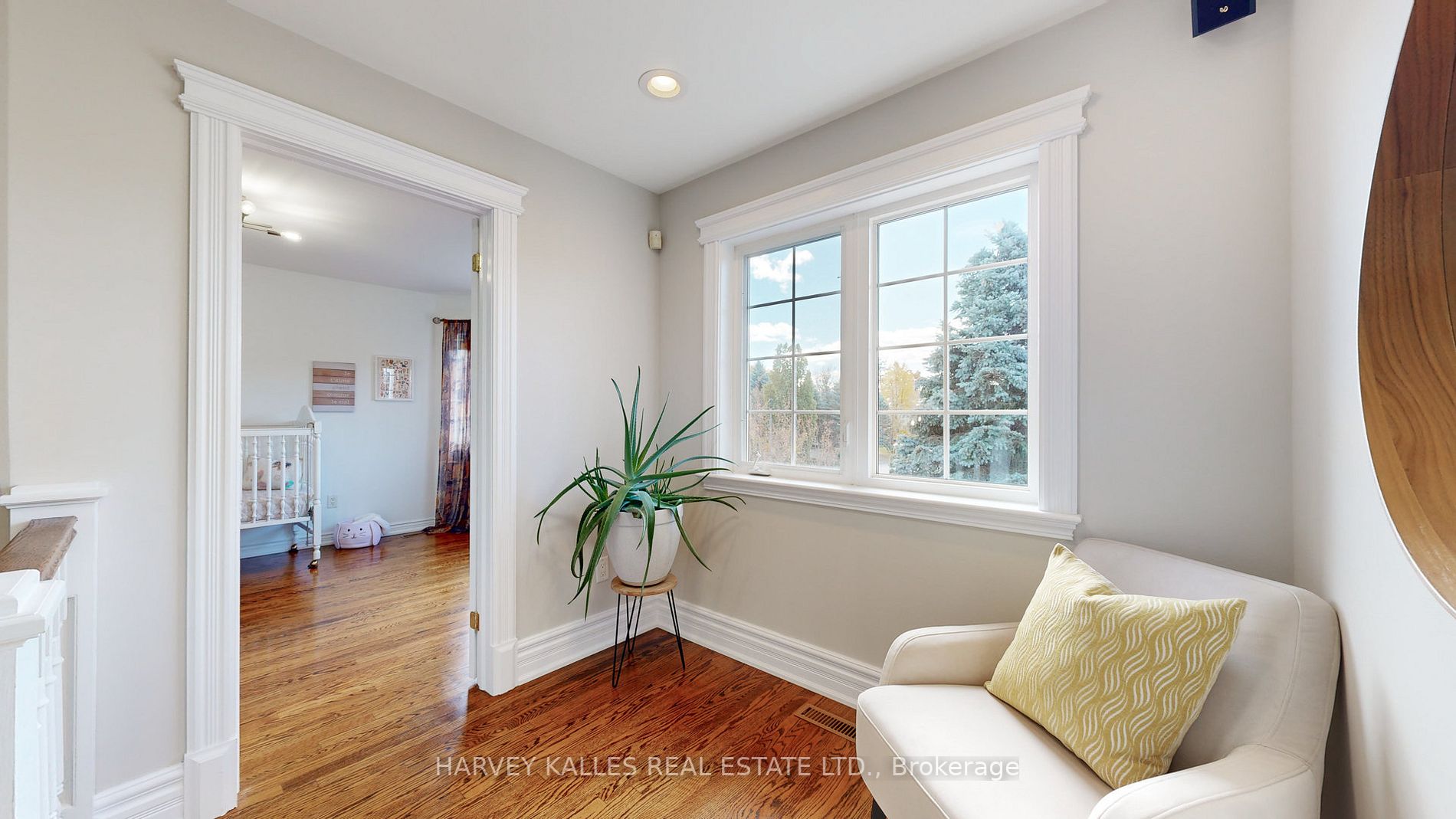 82 English Daisy Crt