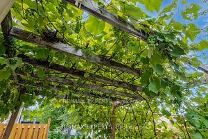102 Zima Cres