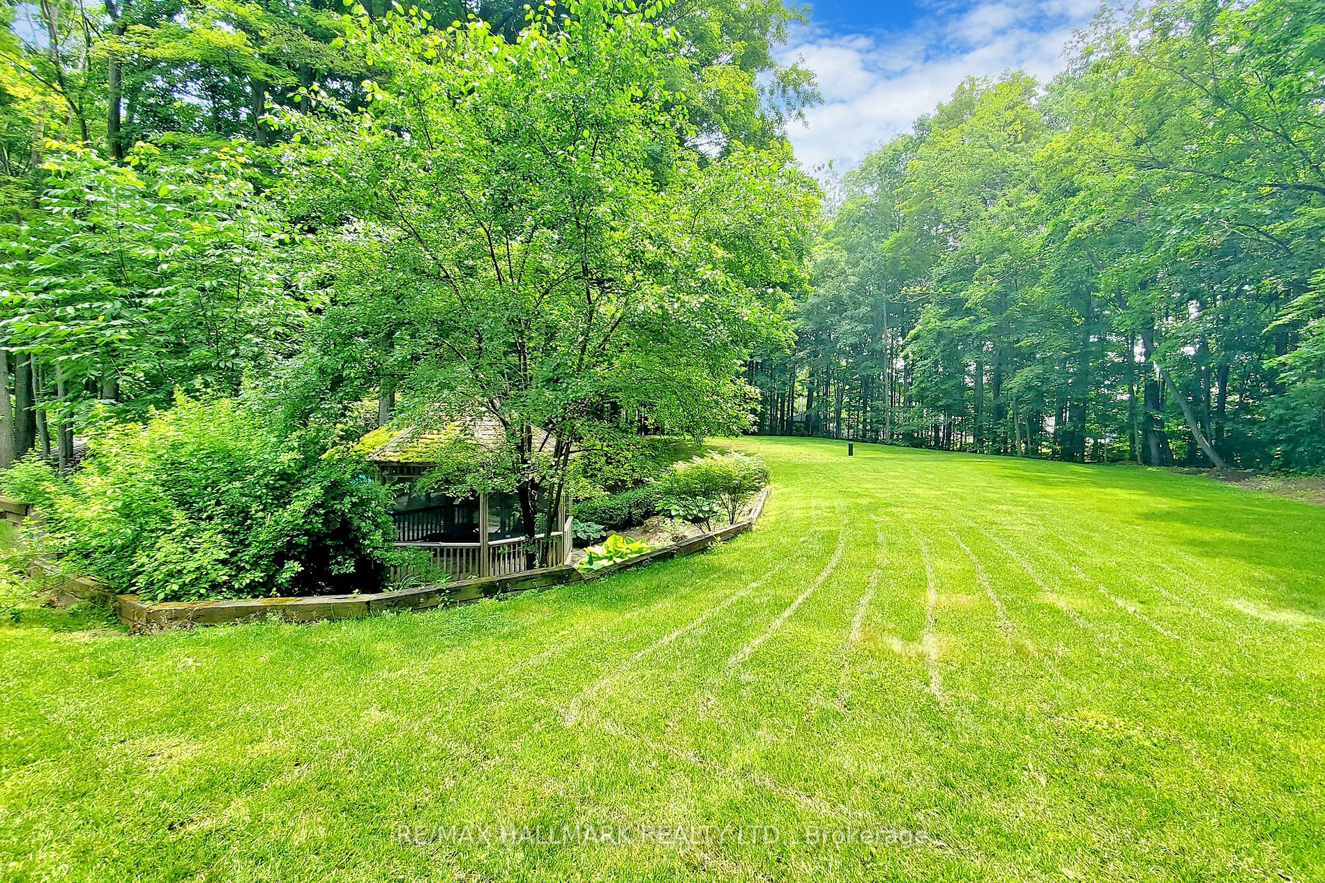 142 Forest Ridge Rd