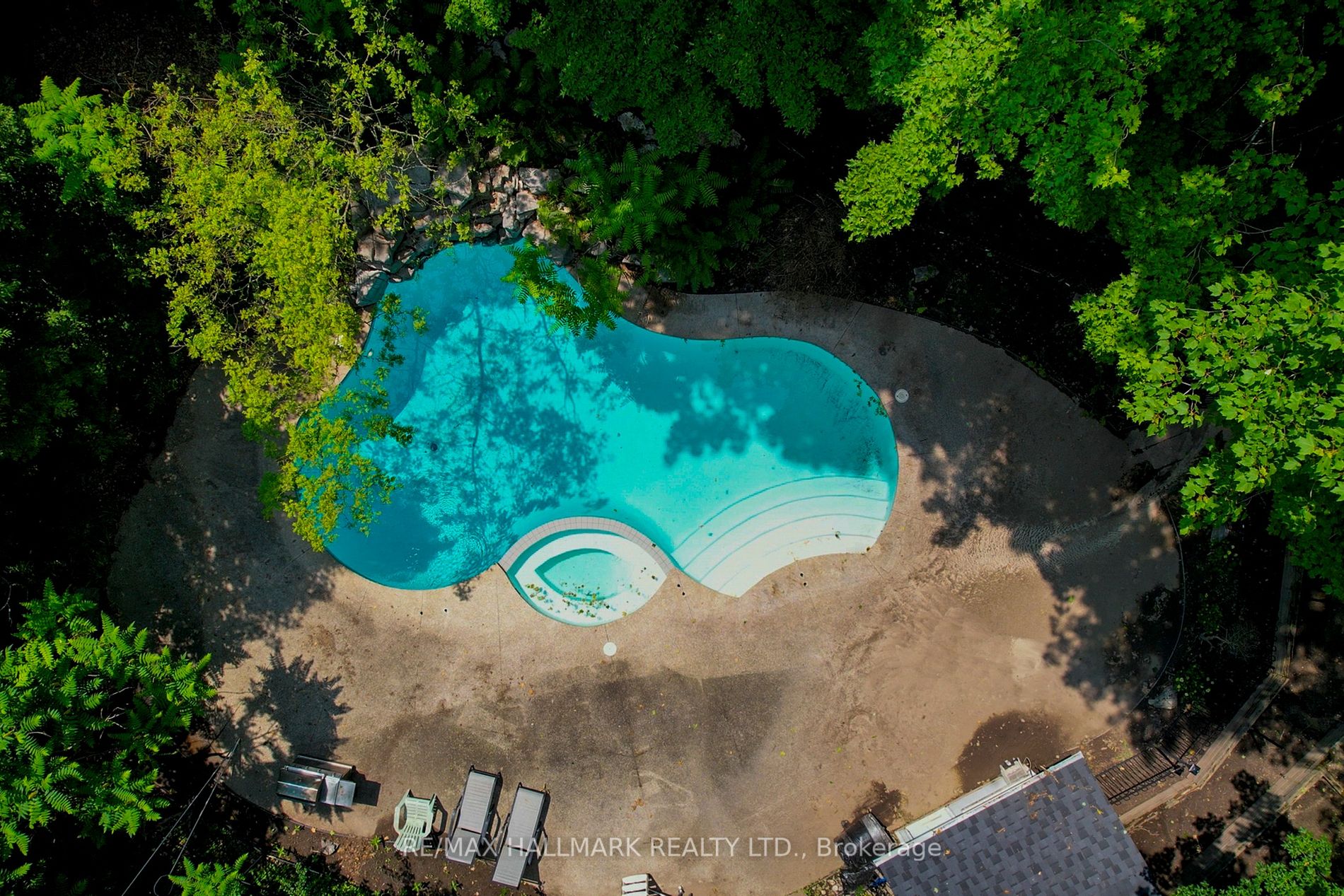 142 Forest Ridge Rd