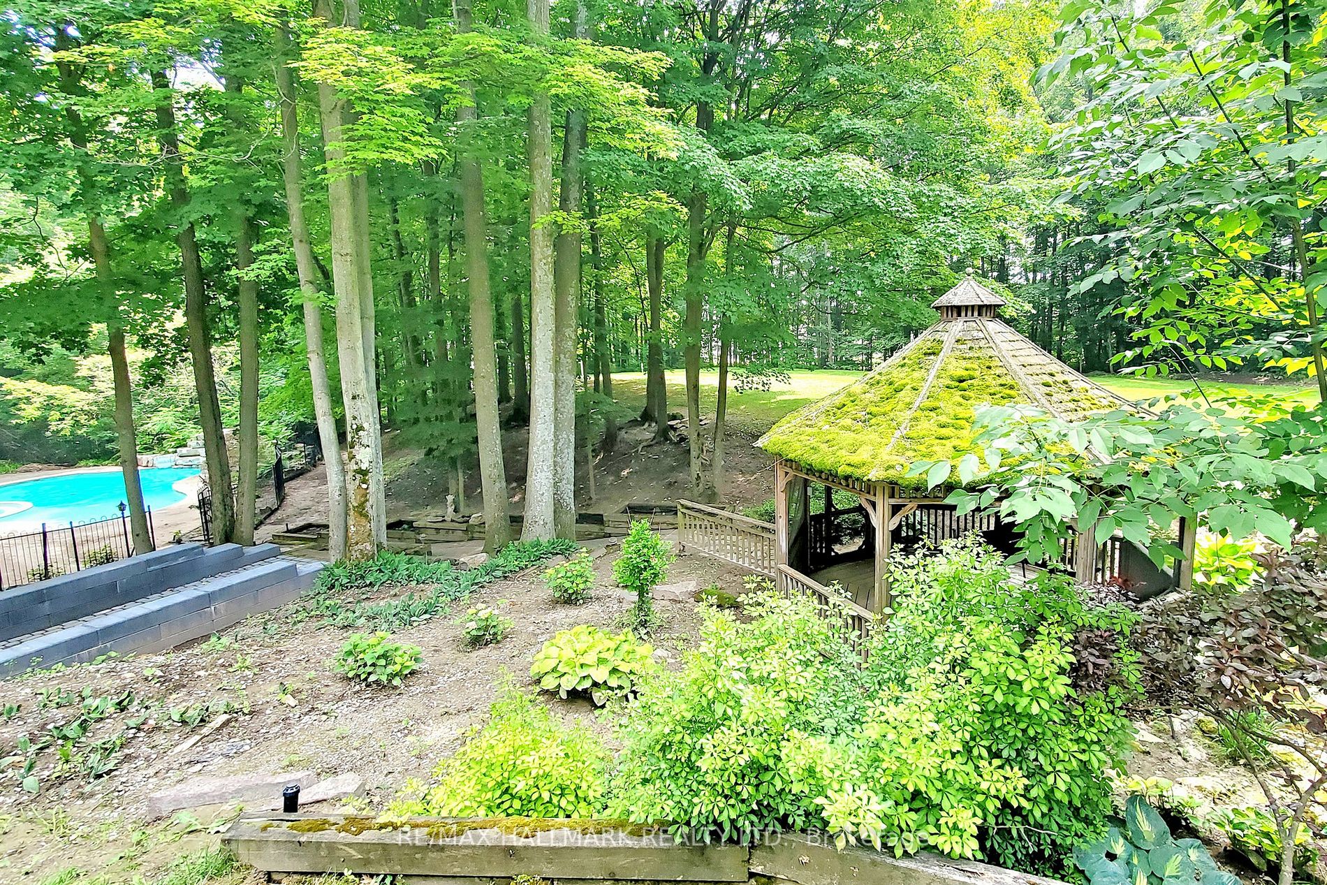 142 Forest Ridge Rd