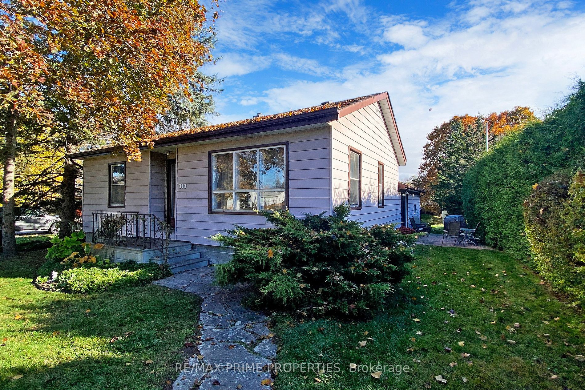 313 Christopher St