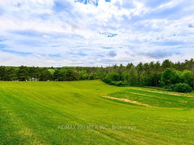 99 Tecumseth Pine Dr