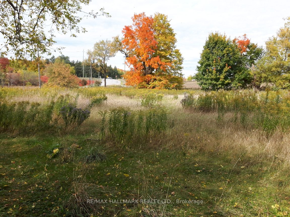 3229 Concession 1