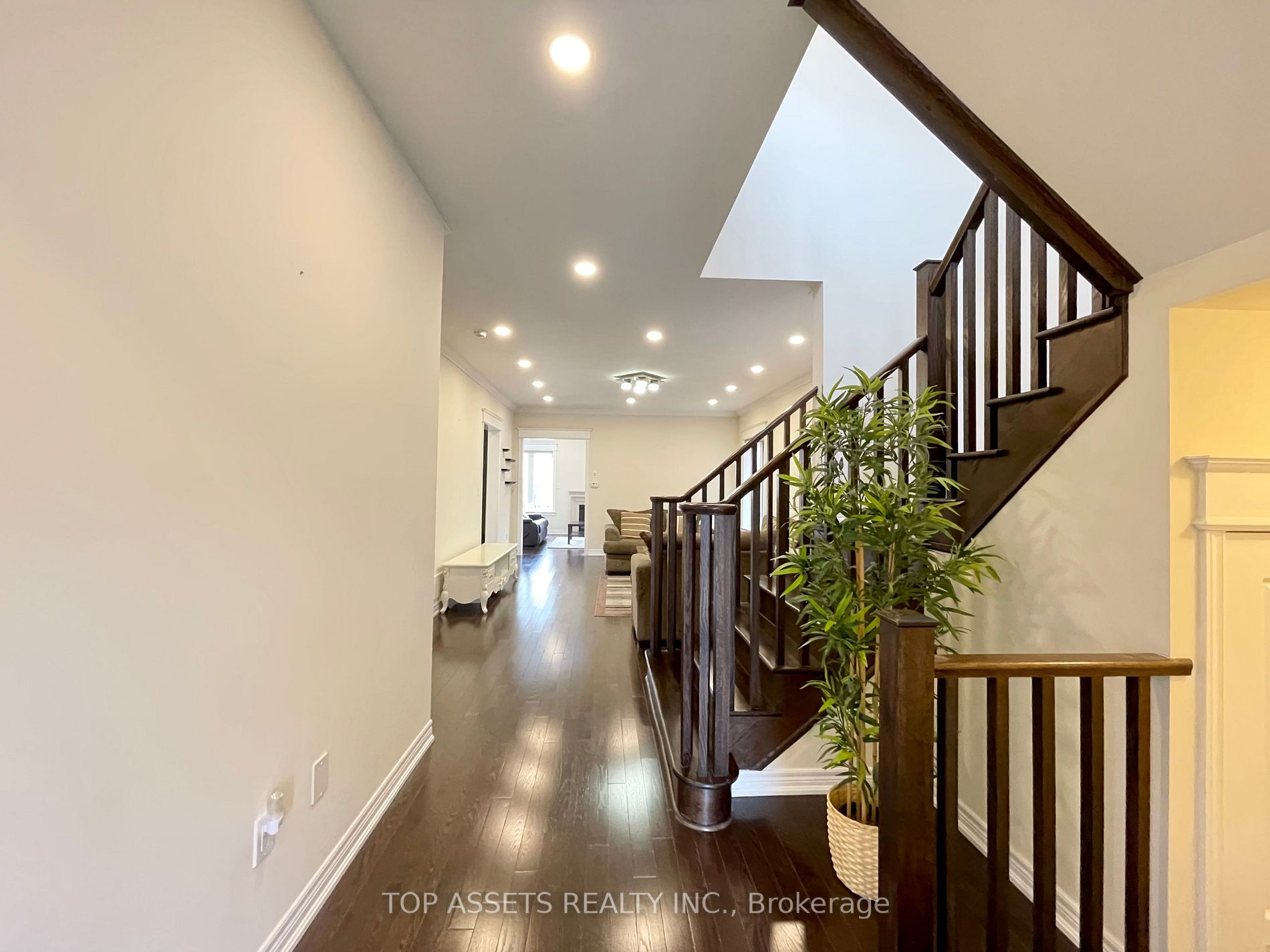 97 Meadowsweet Lane