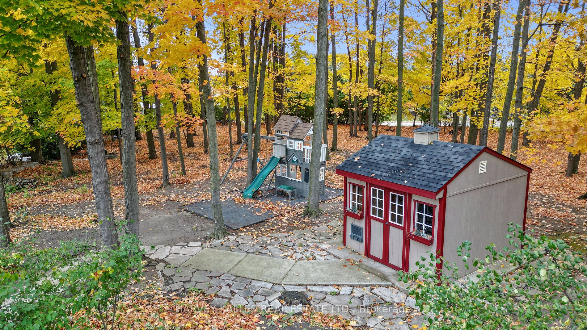 82 English Daisy Crt