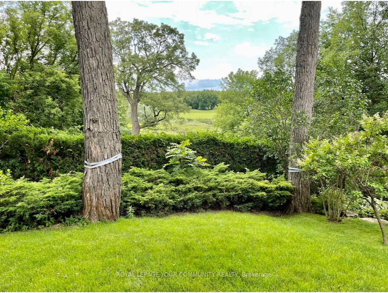 752 Madeline Hts, #Lower