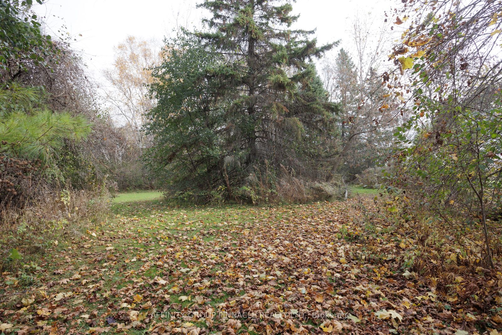 81 Cedar Beach Road