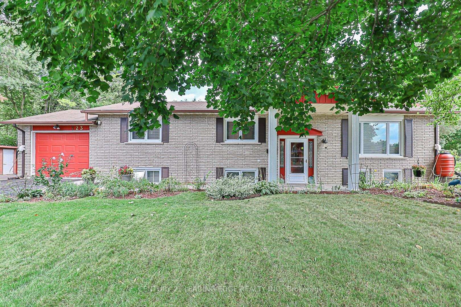 123 Olive St