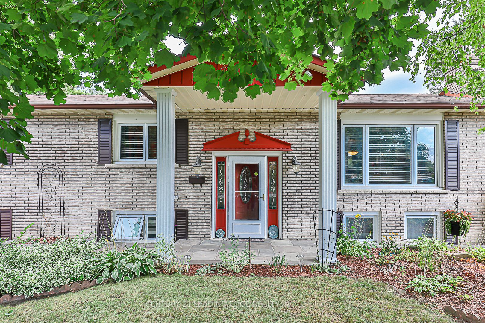 123 Olive St