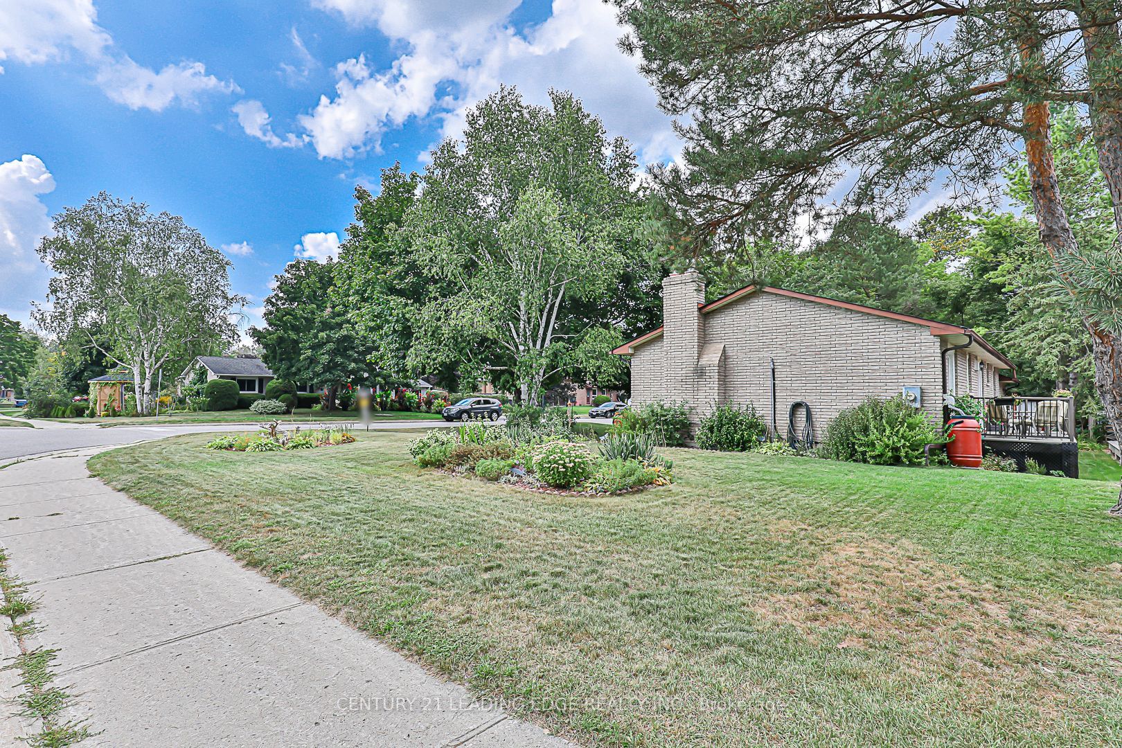 123 Olive St