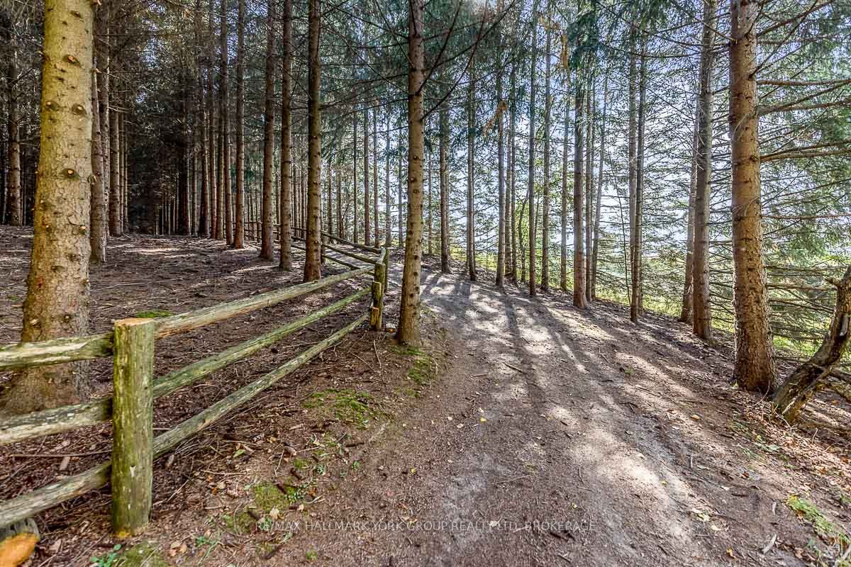 12800 8th Concession Rd