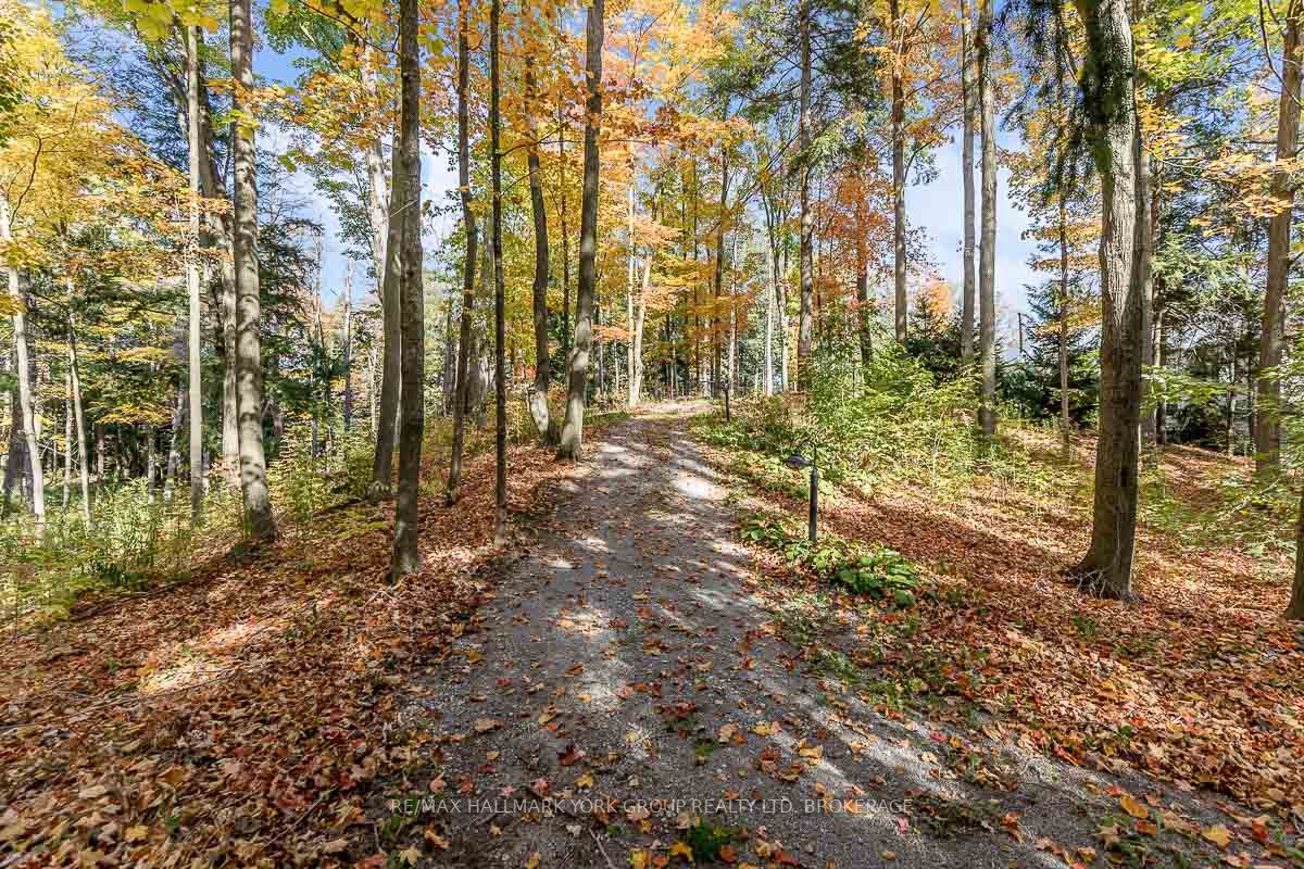 12800 8th Concession Rd