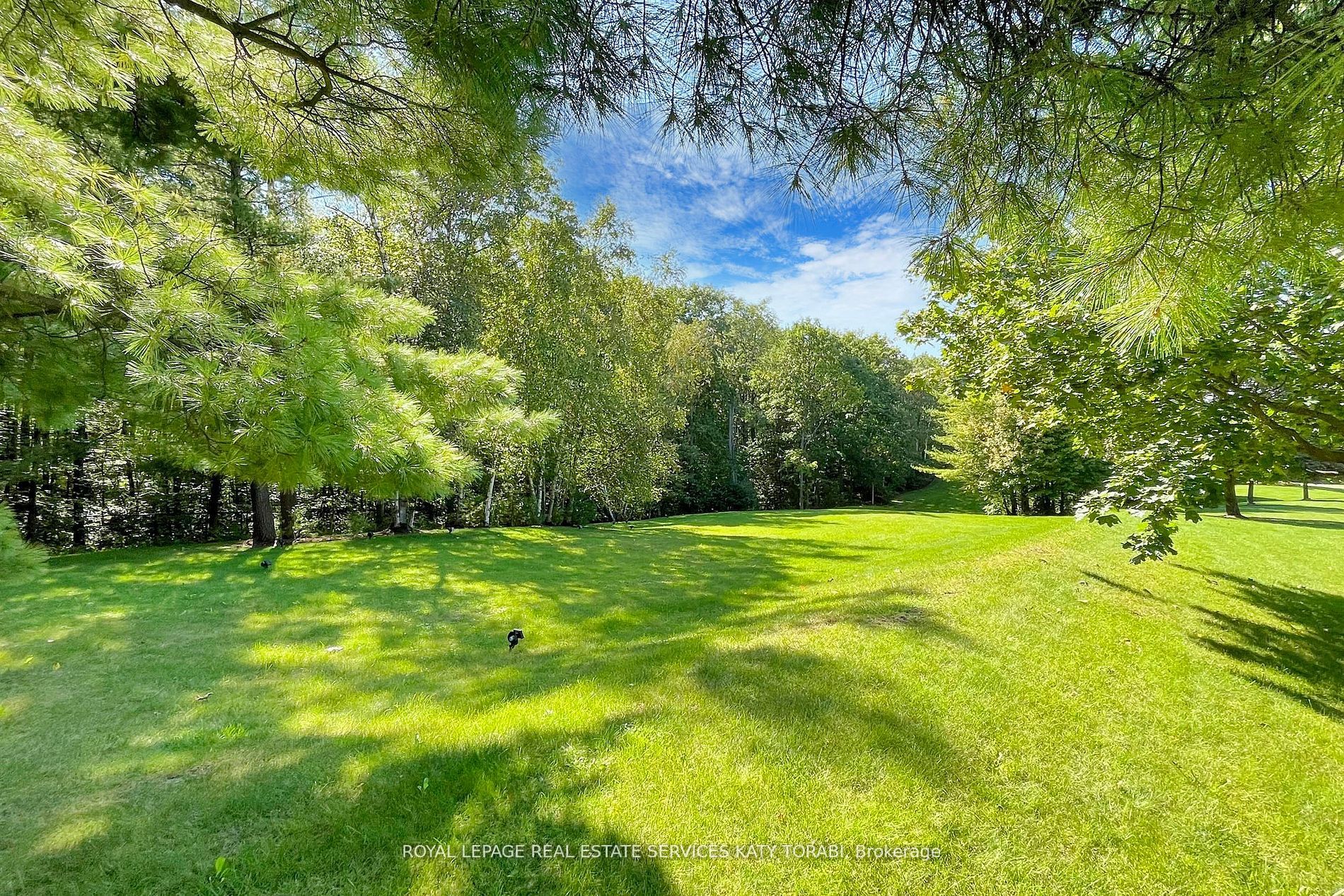 65 Kingswood Drive