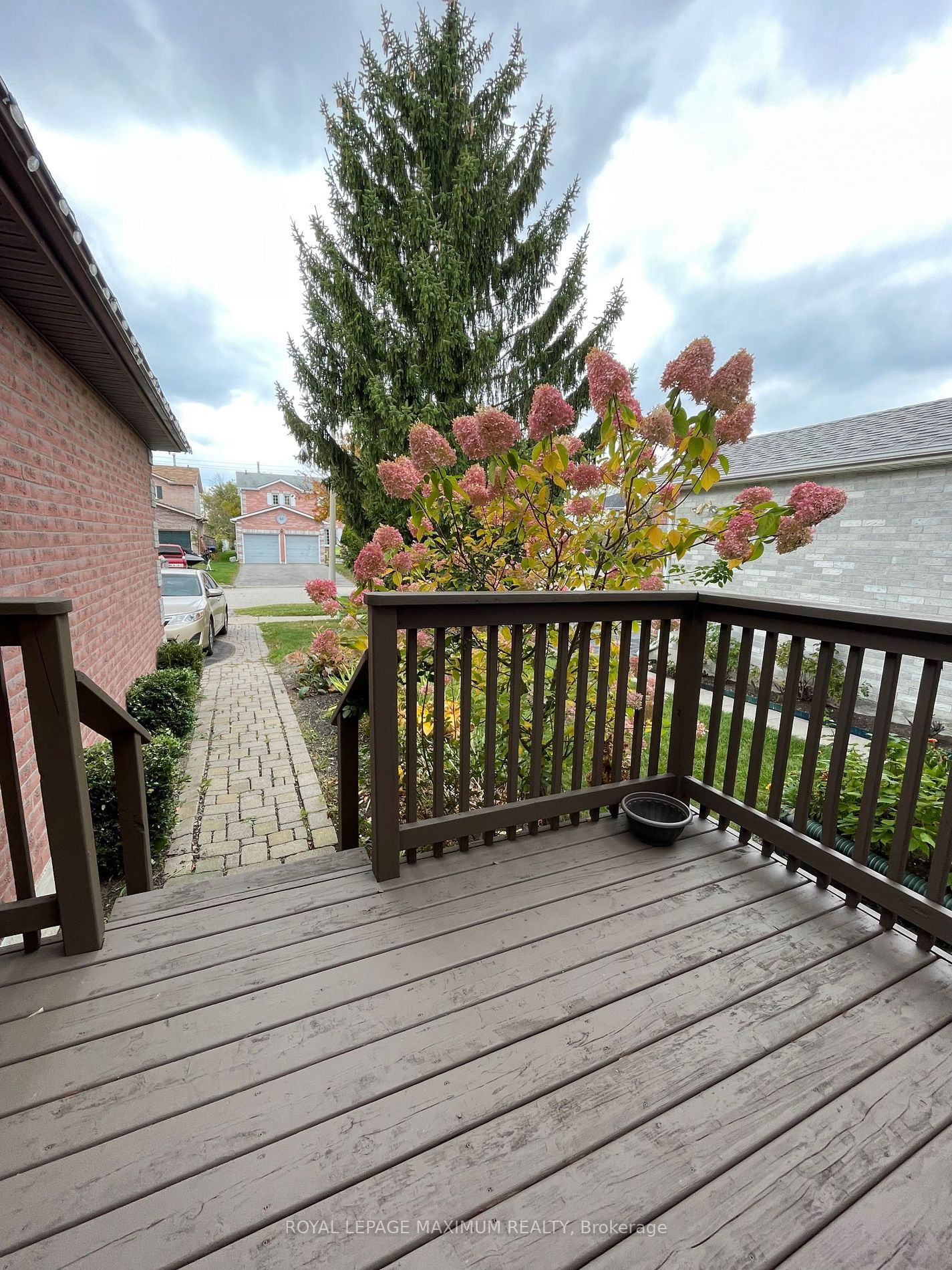 61 Mcknight Cres
