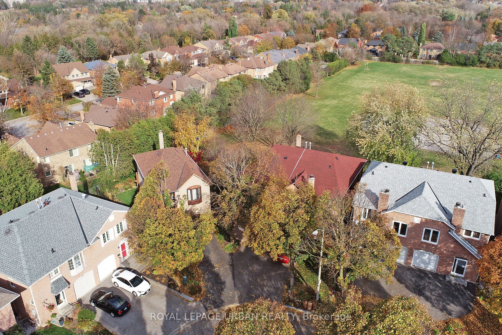 36 Foxglove Crt