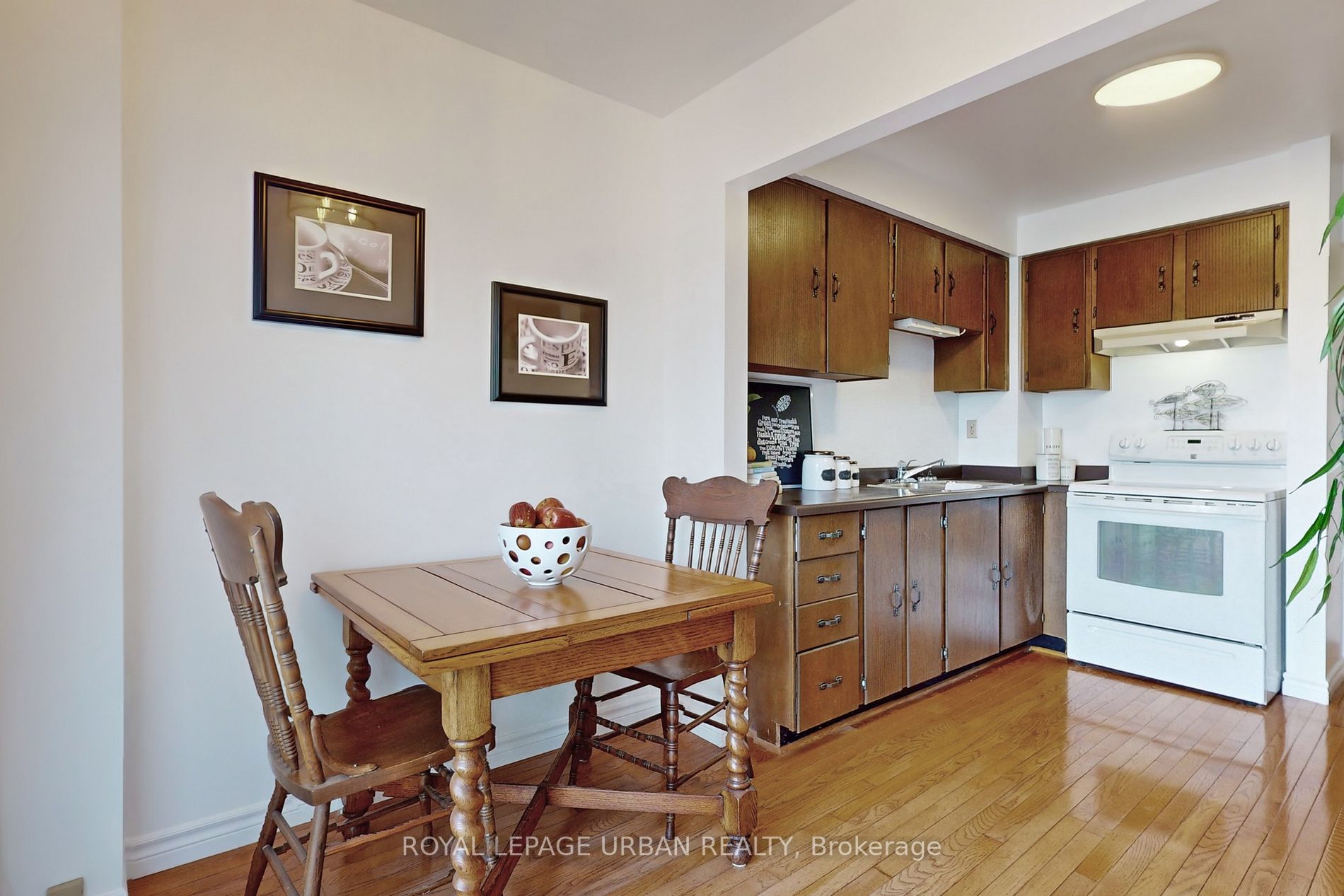 36 Foxglove Crt