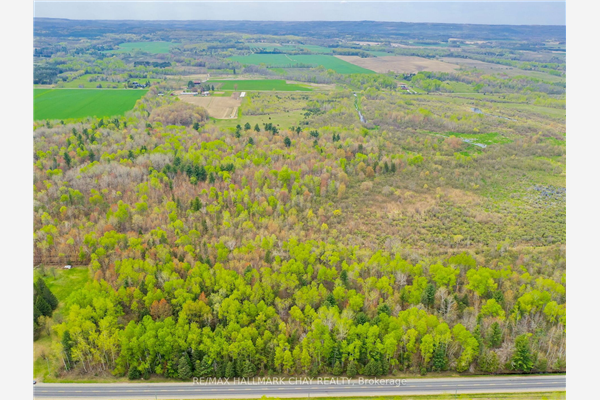 7612 County Rd. 13, Adjala-Tosorontio