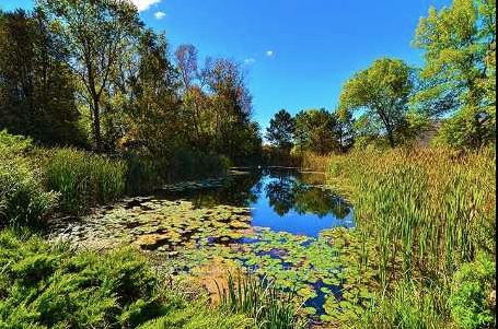 1279 Doane Rd