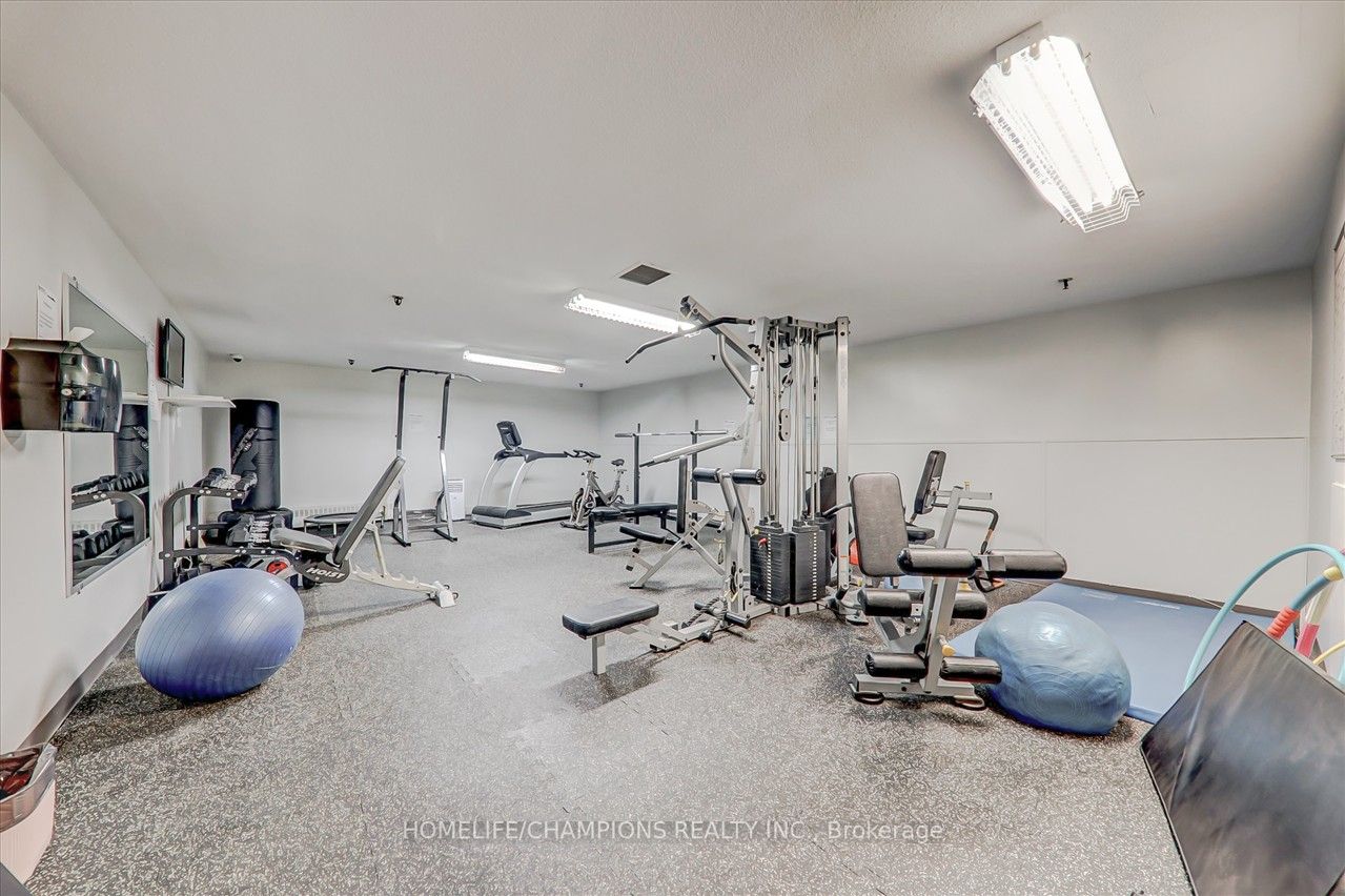 16 Elgin St, #325