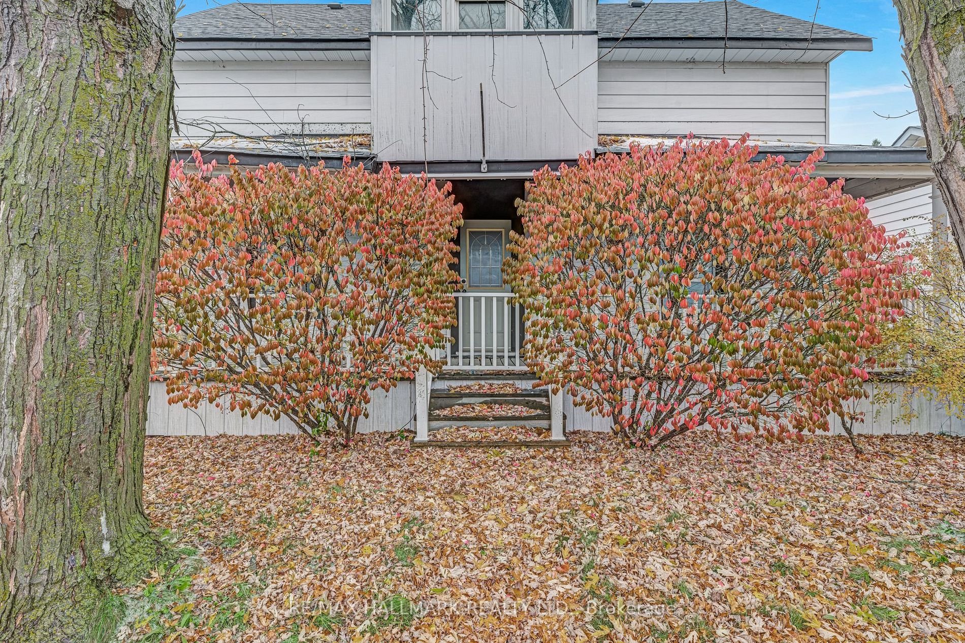 71 North St