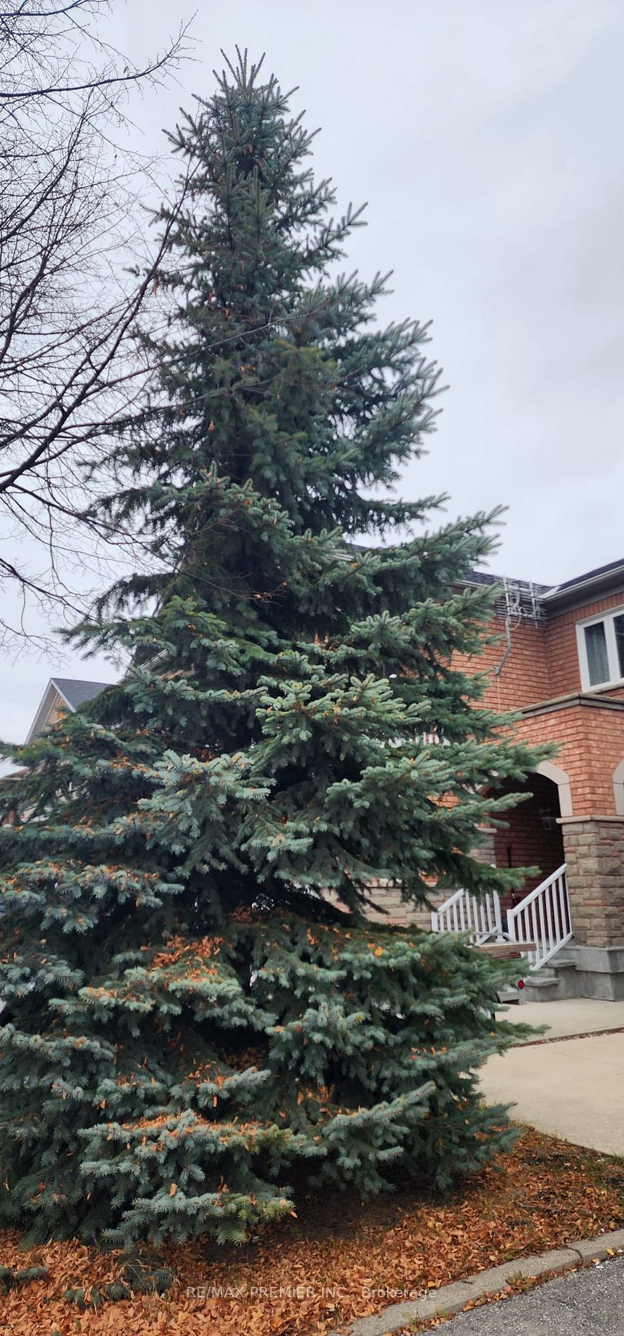 21 Casabel Dr
