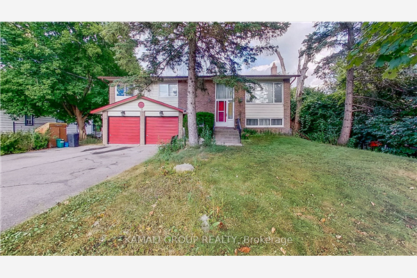 91 Fergus Ave, Richmond Hill