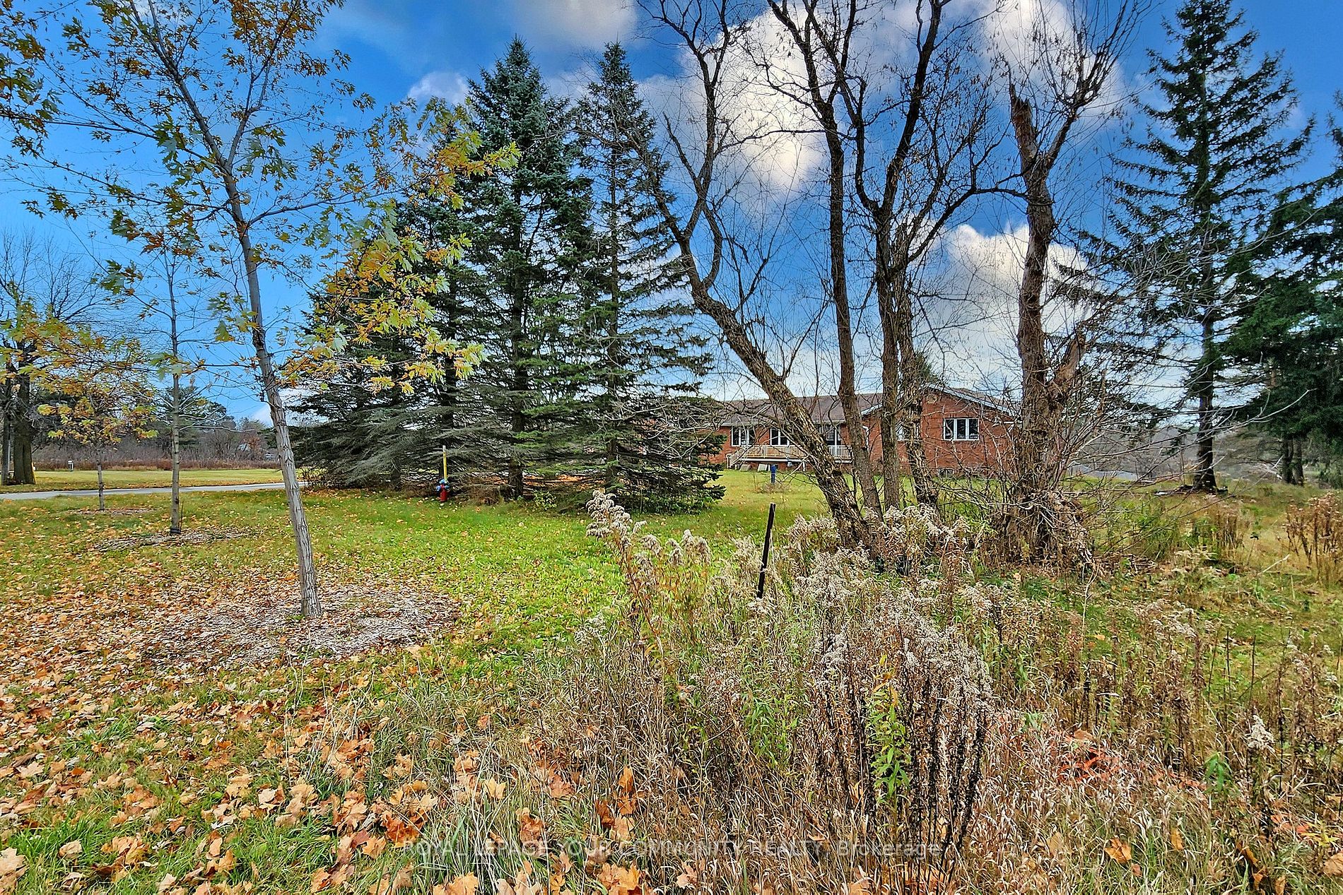 4897 Aurora Rd