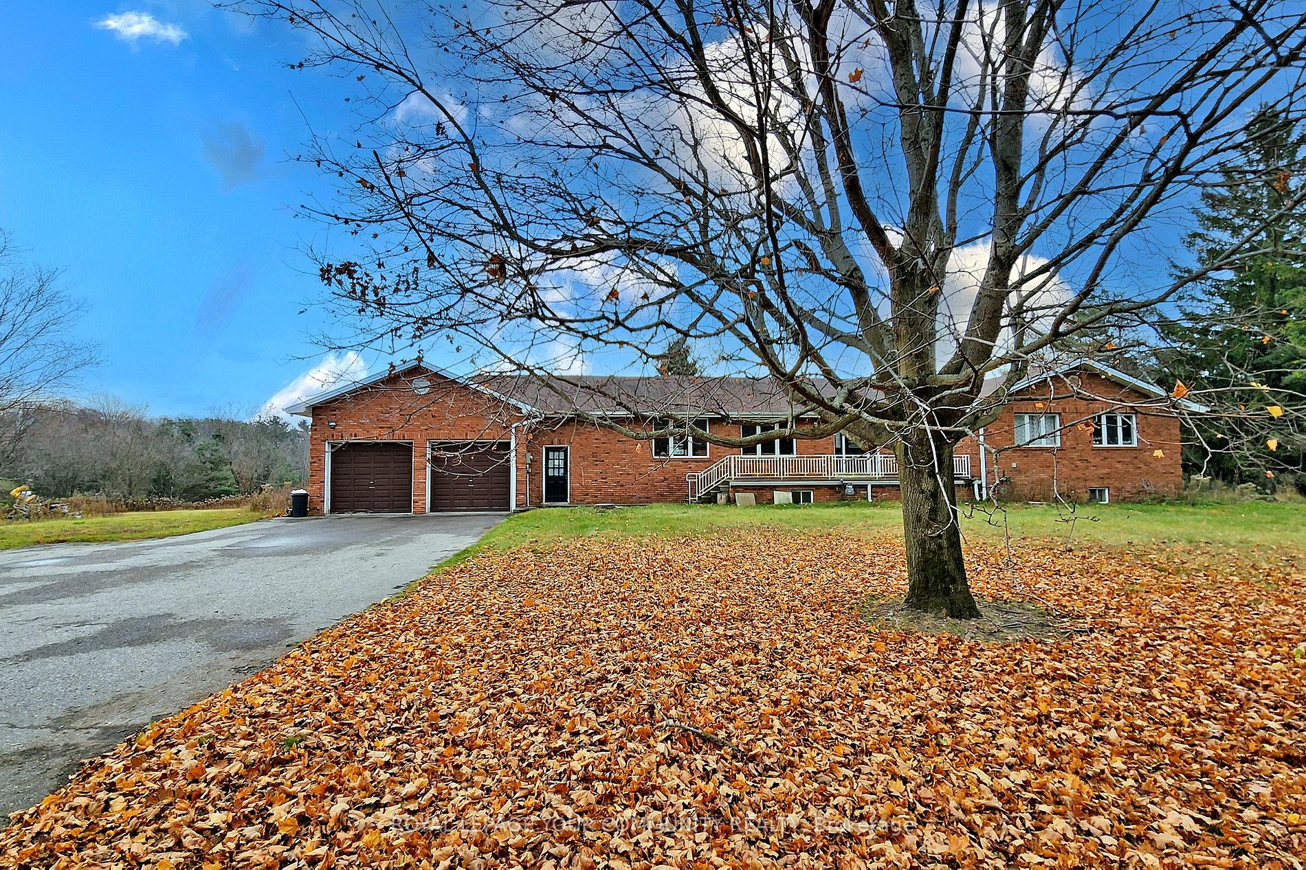 4897 Aurora Rd