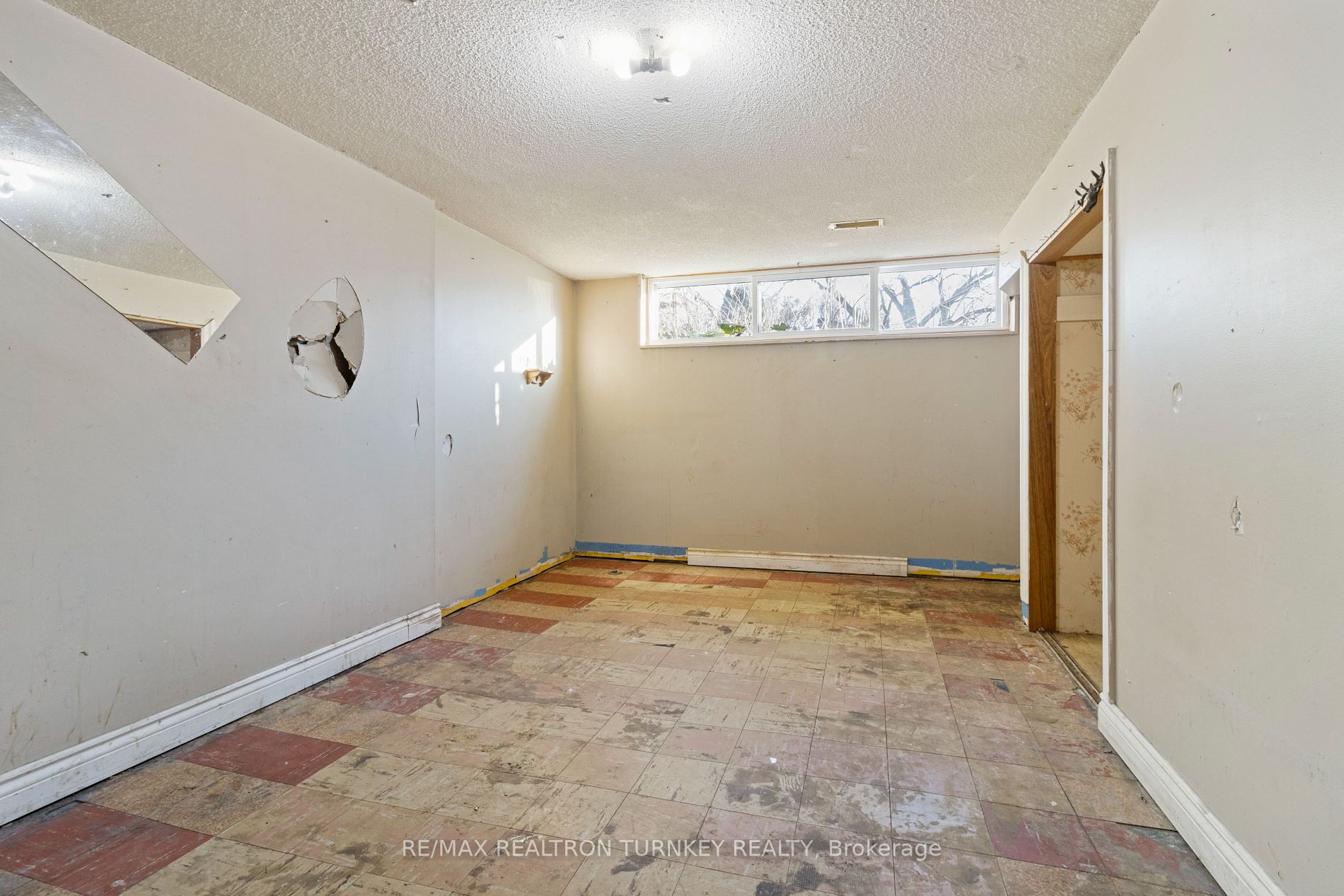 239 Silverbirch Dr