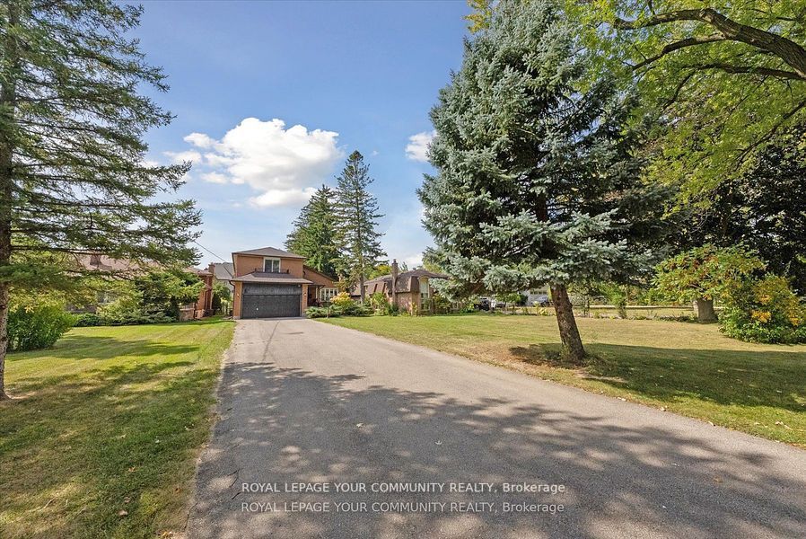46 Avenue Rd