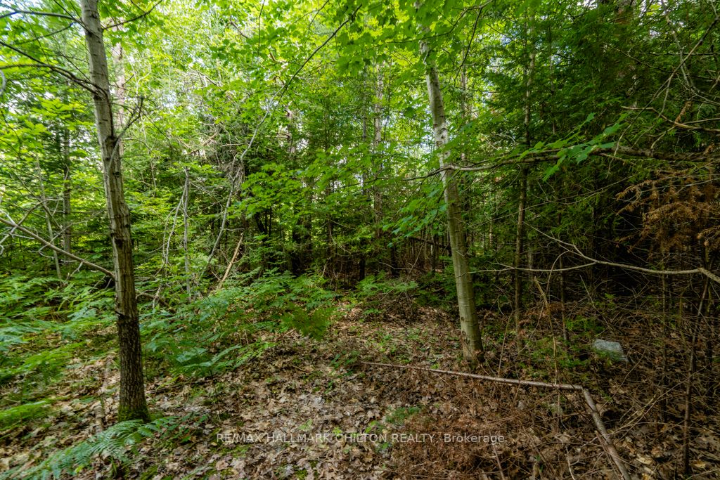 5349 30th Side Rd