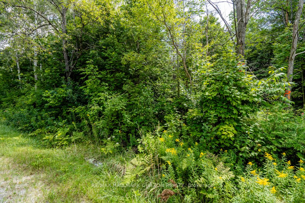 5349 30th Side Rd