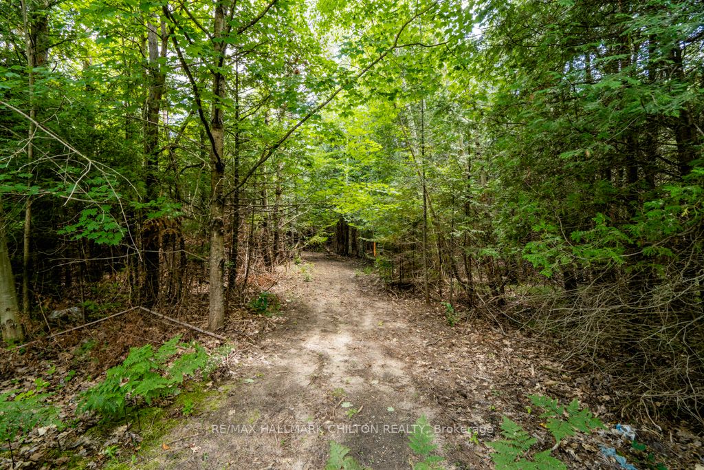 5349 30th Side Rd