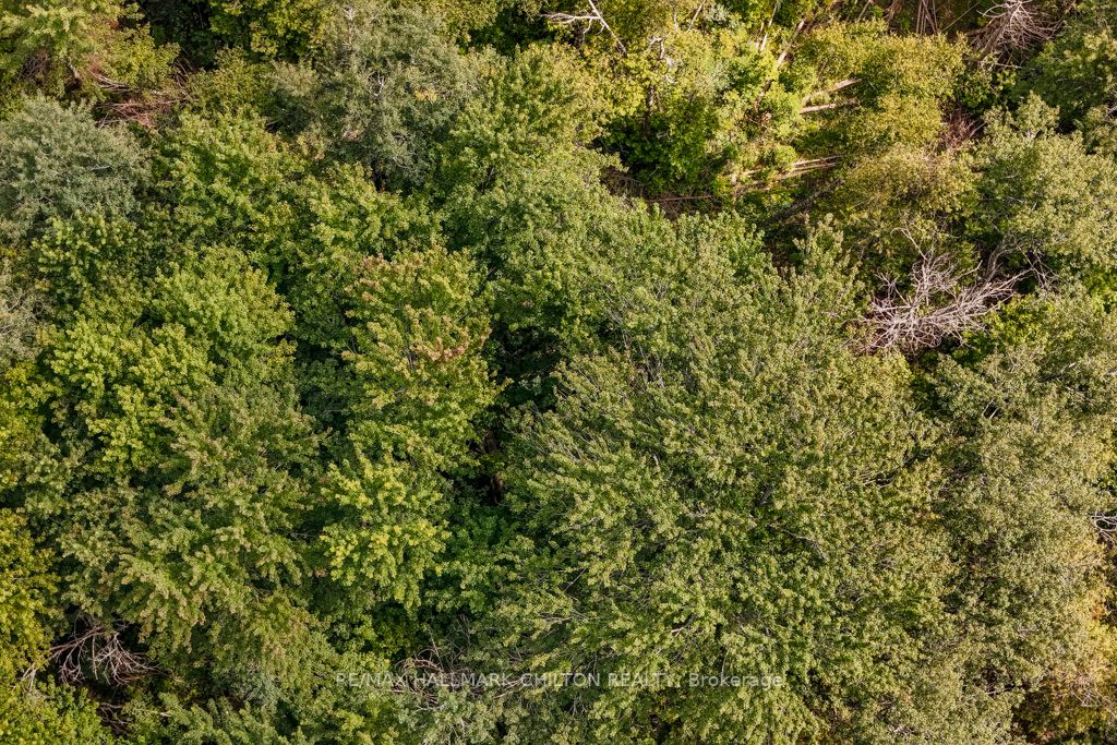 5349 30th Side Rd