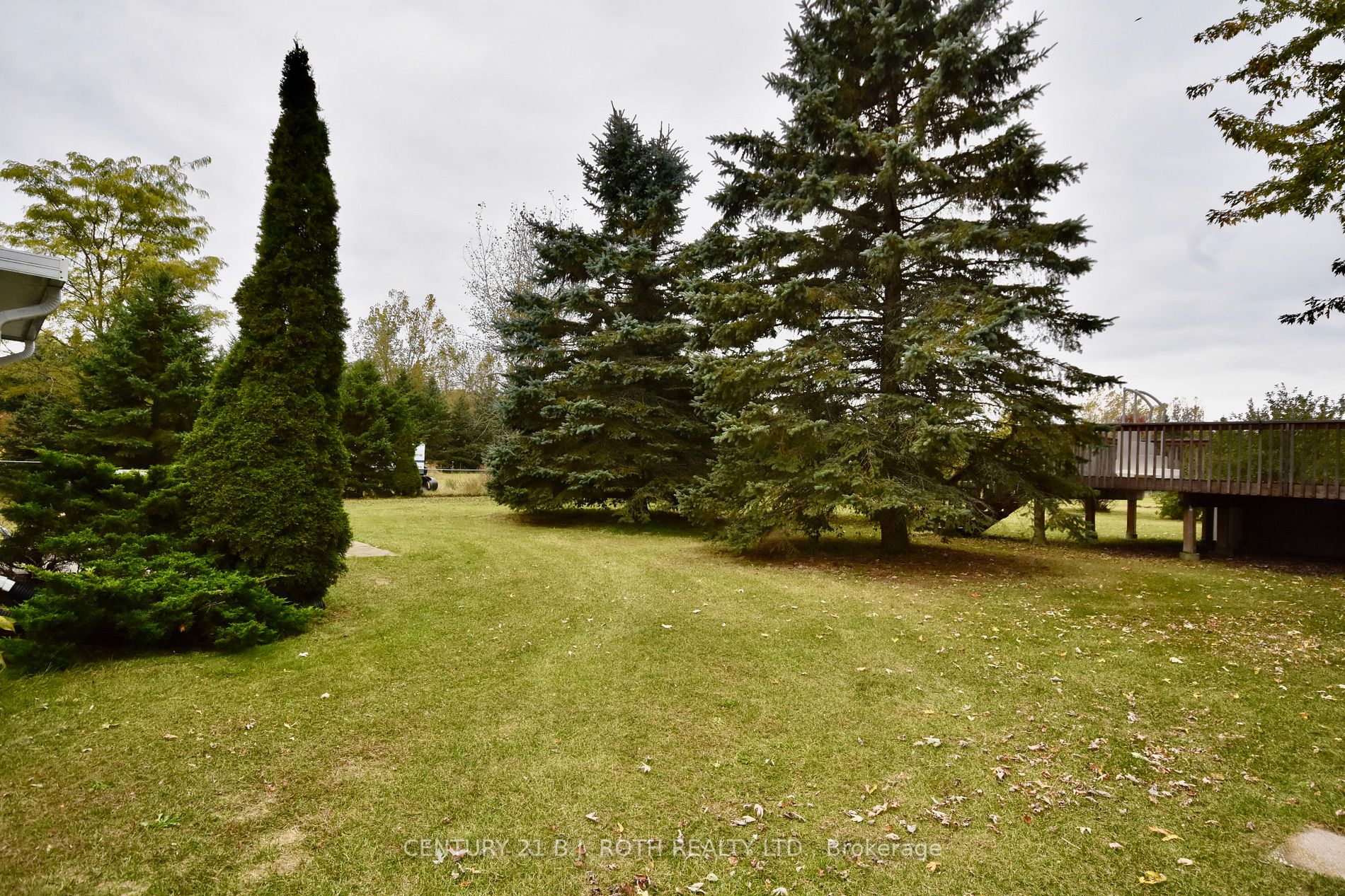 22 Pineview Tr