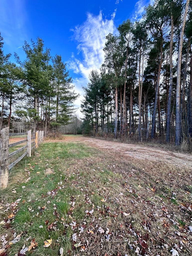 40 Fisher Dr