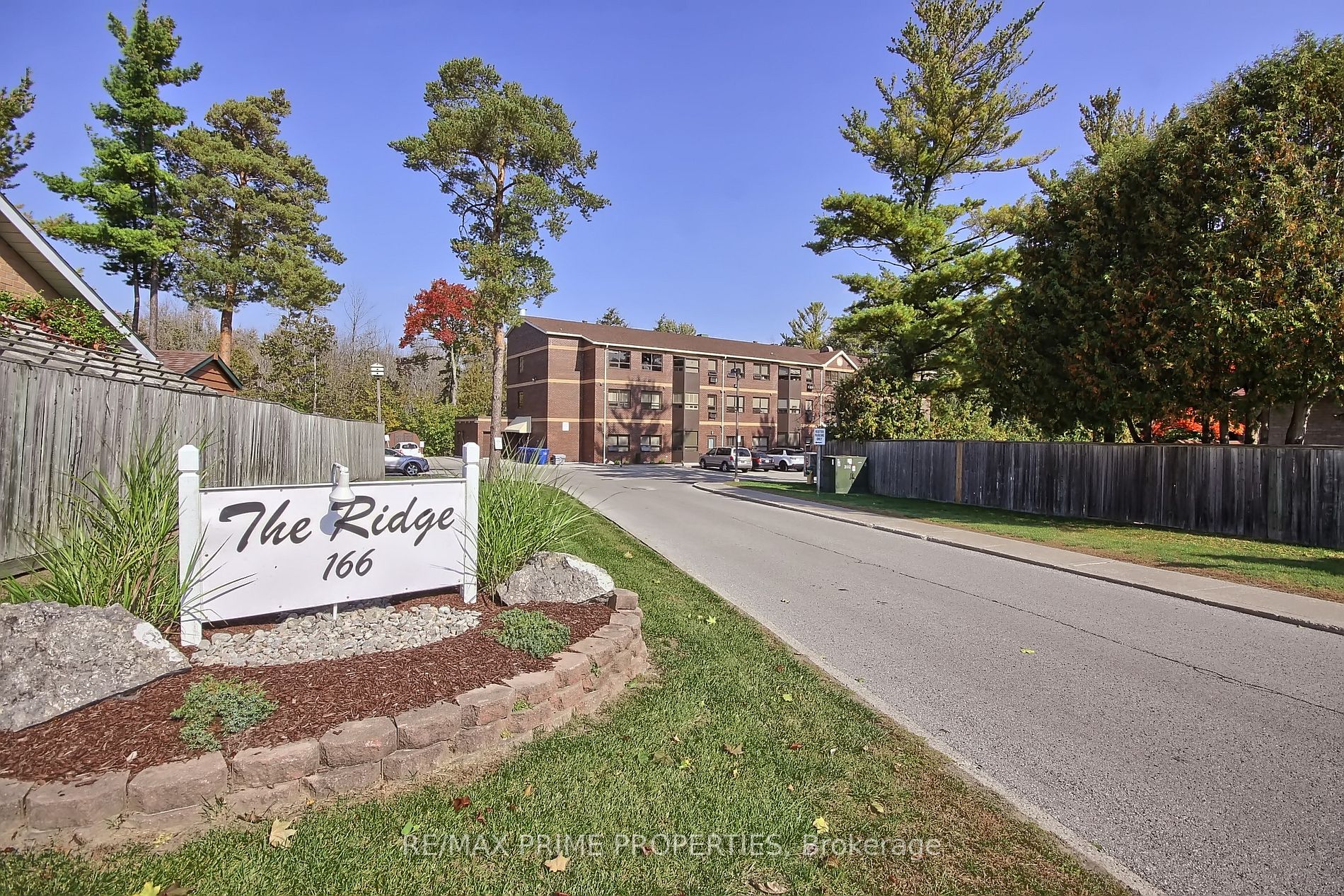 166 Olive St, #201