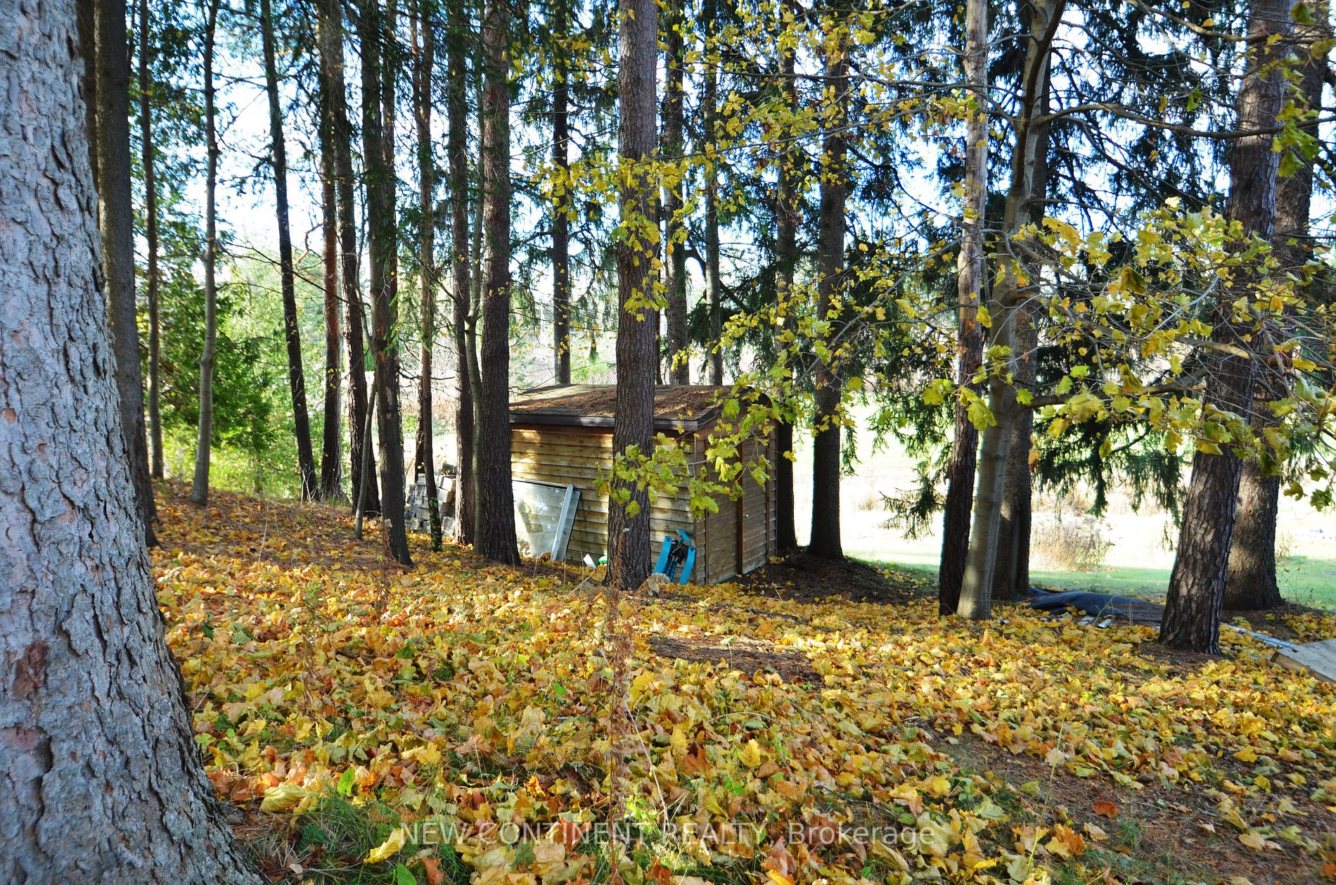 352 Pefferlaw Rd