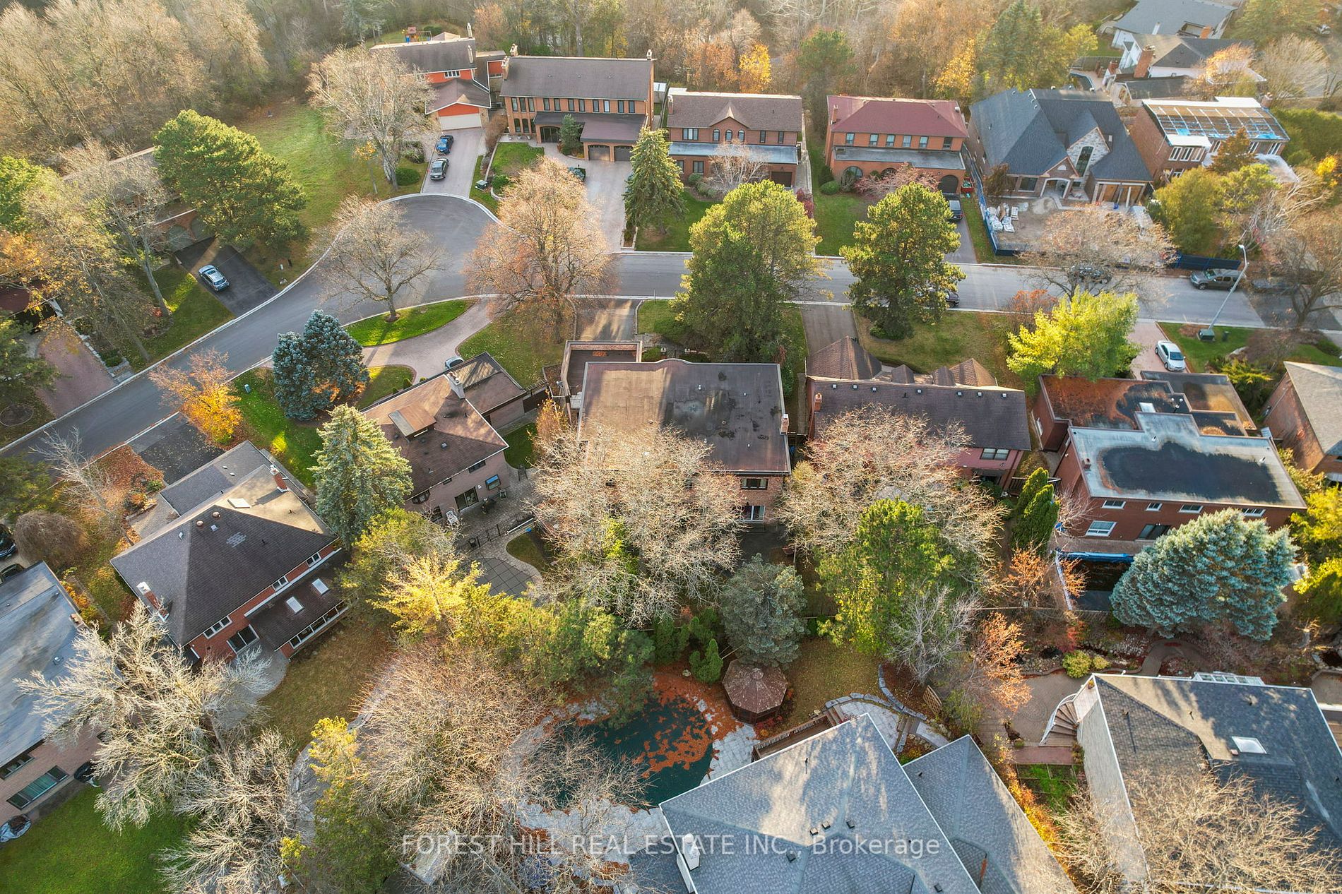 9 Forest Park Cres