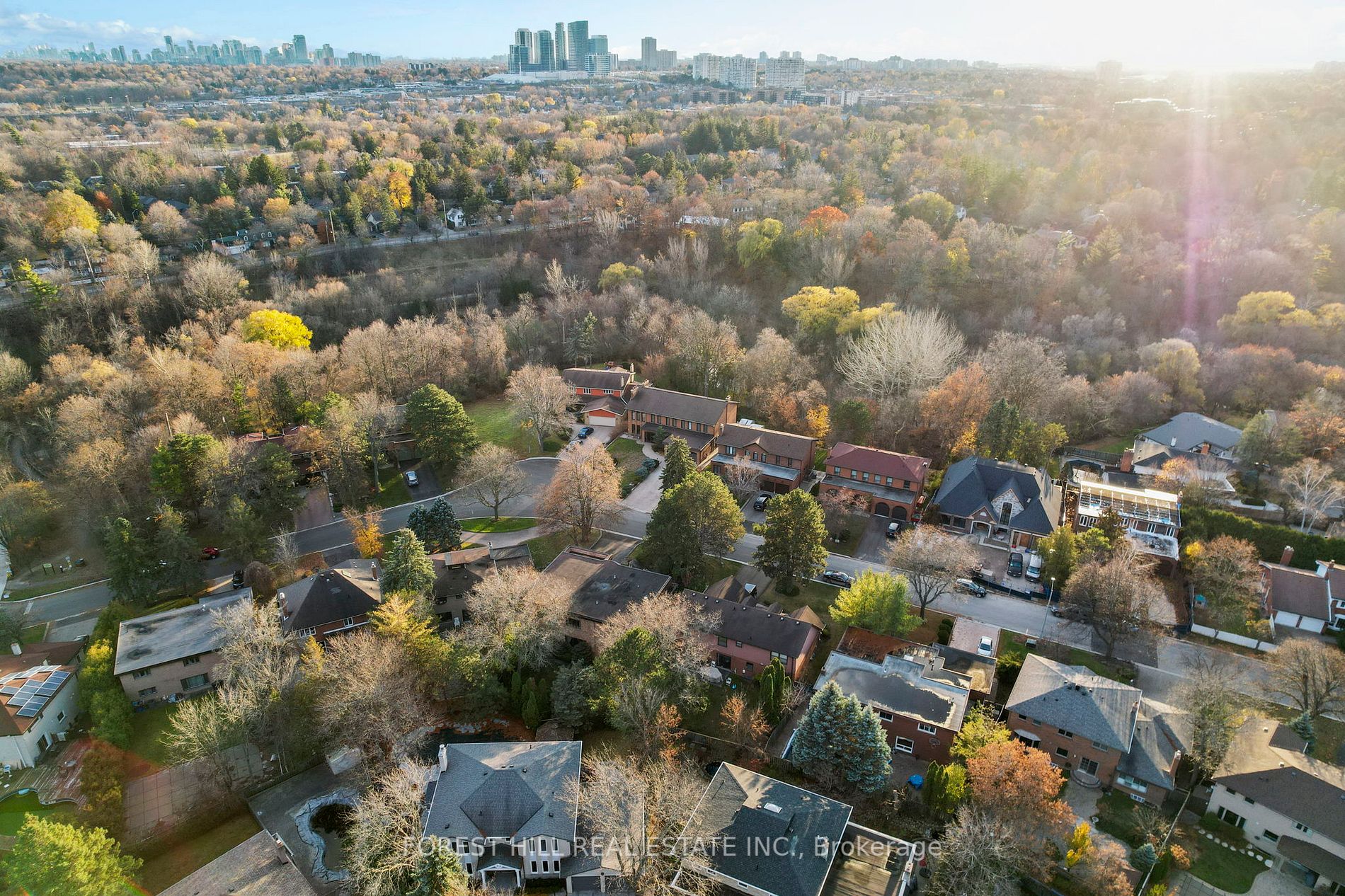 9 Forest Park Cres